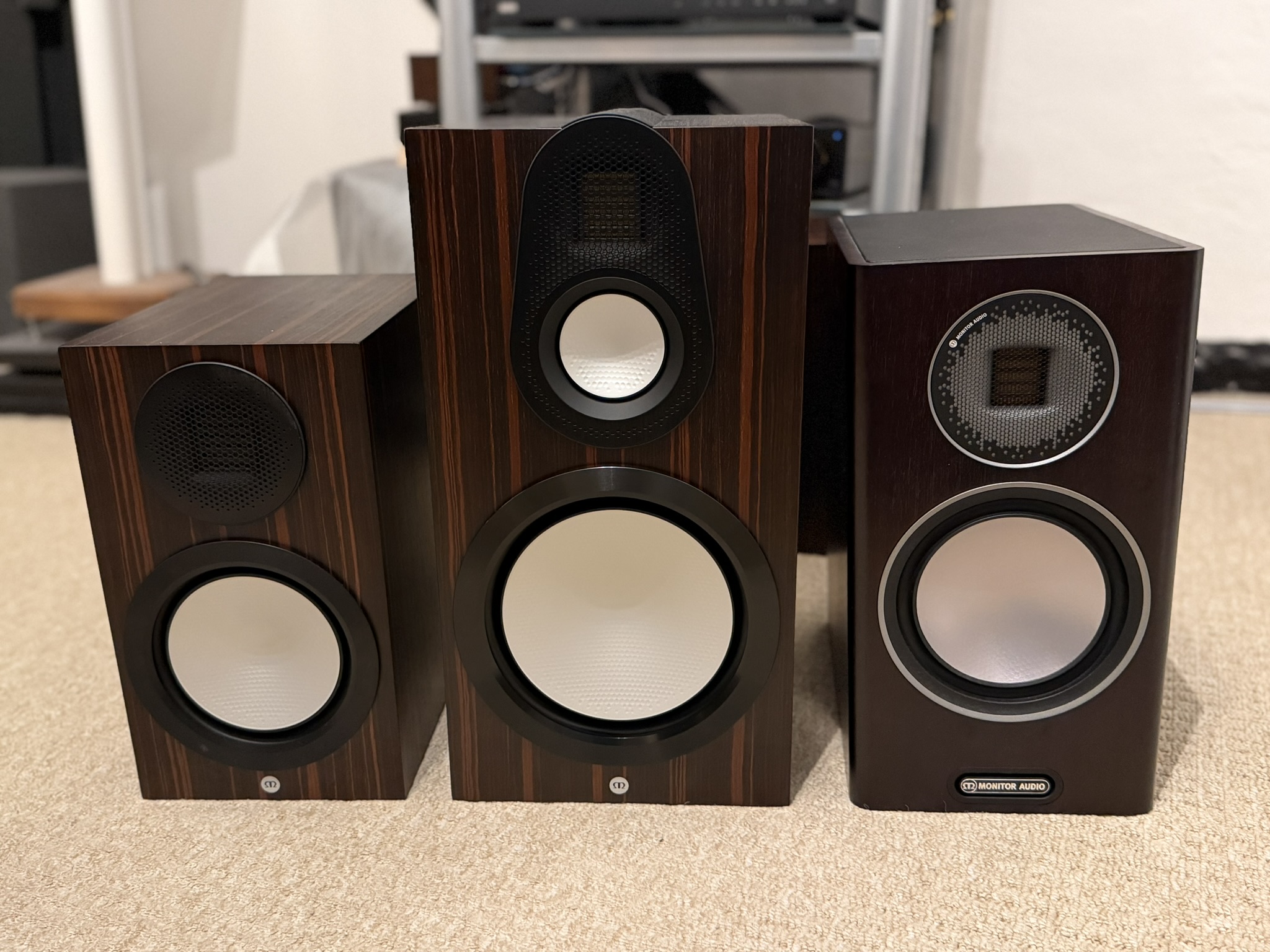 Gold GX300 speakers offer immersive sound and stunning design