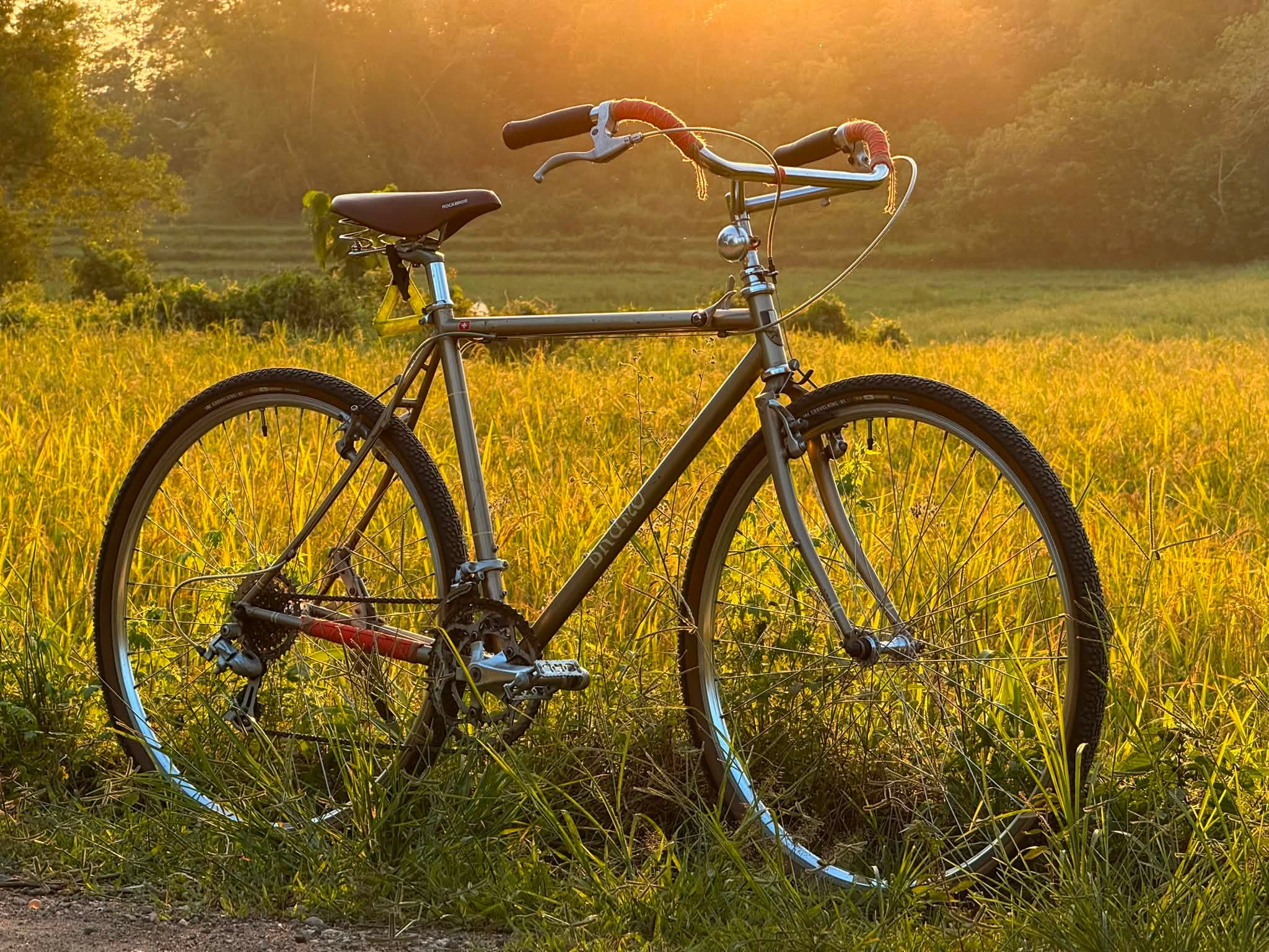 Nitto Moustache vs Soma Lauterwasser handlebars for Pedersen bike