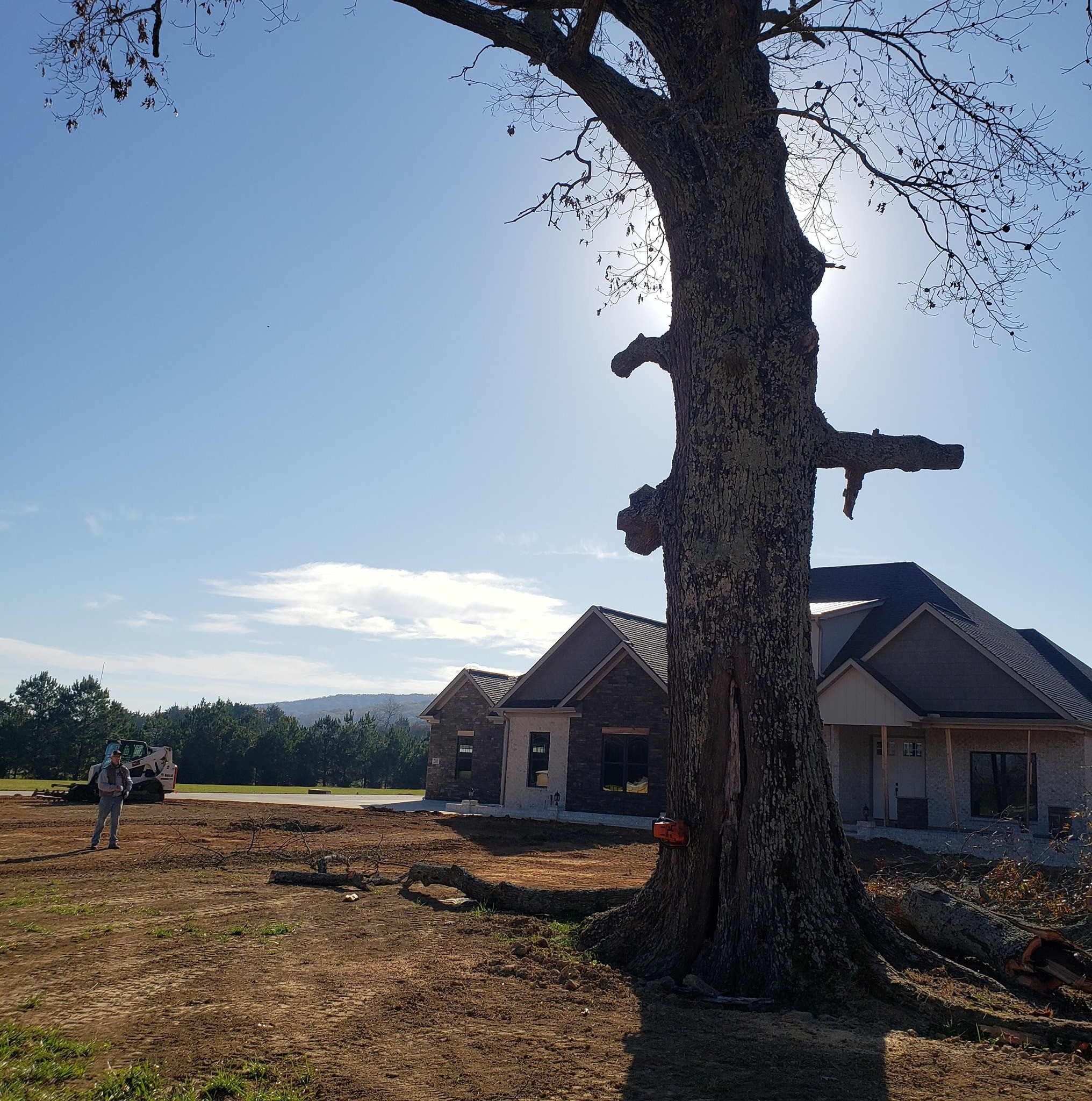 Always Trees LLC | New Market AL