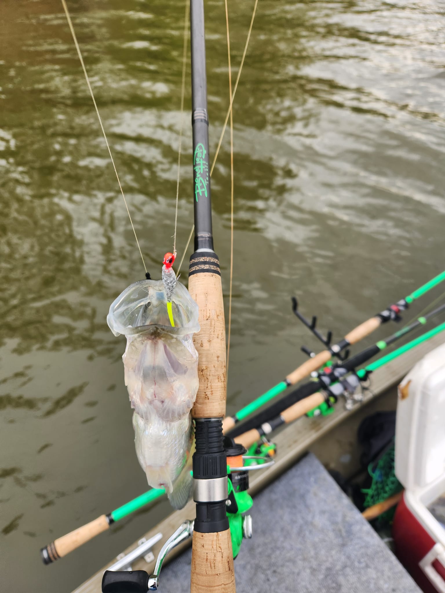 bonehead fishing poles Green 2 pc Spinning Rod Rods by BoneHead Tackle Bonehead E-Series CF Spinning Rod