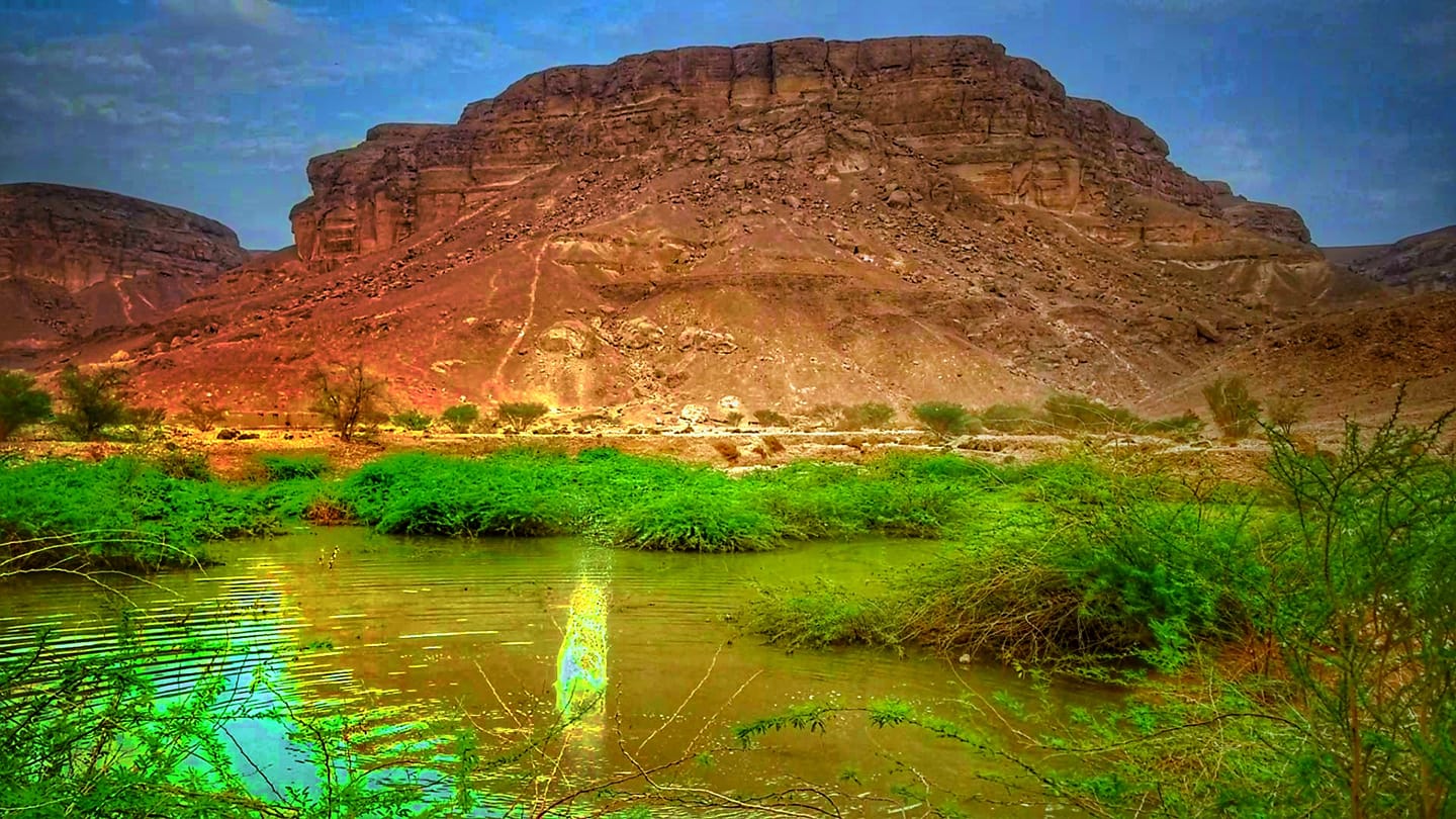 السويري - تريم alswayri | Tarim