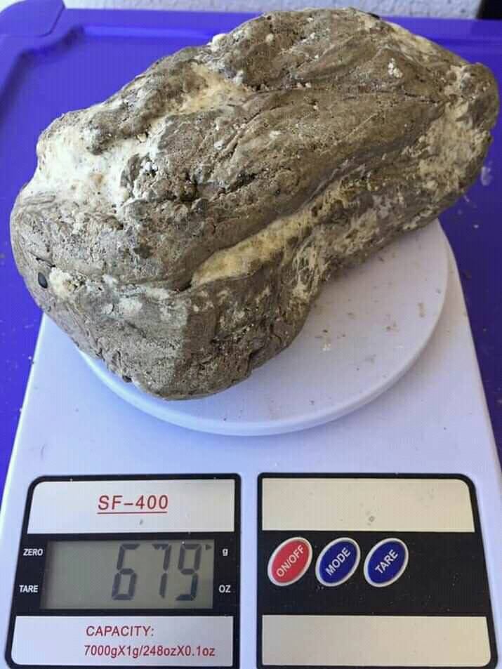 عنبر للبيع عنبر للشراء... - بيع و شراء عنبر الحوت و النيازك | Facebook