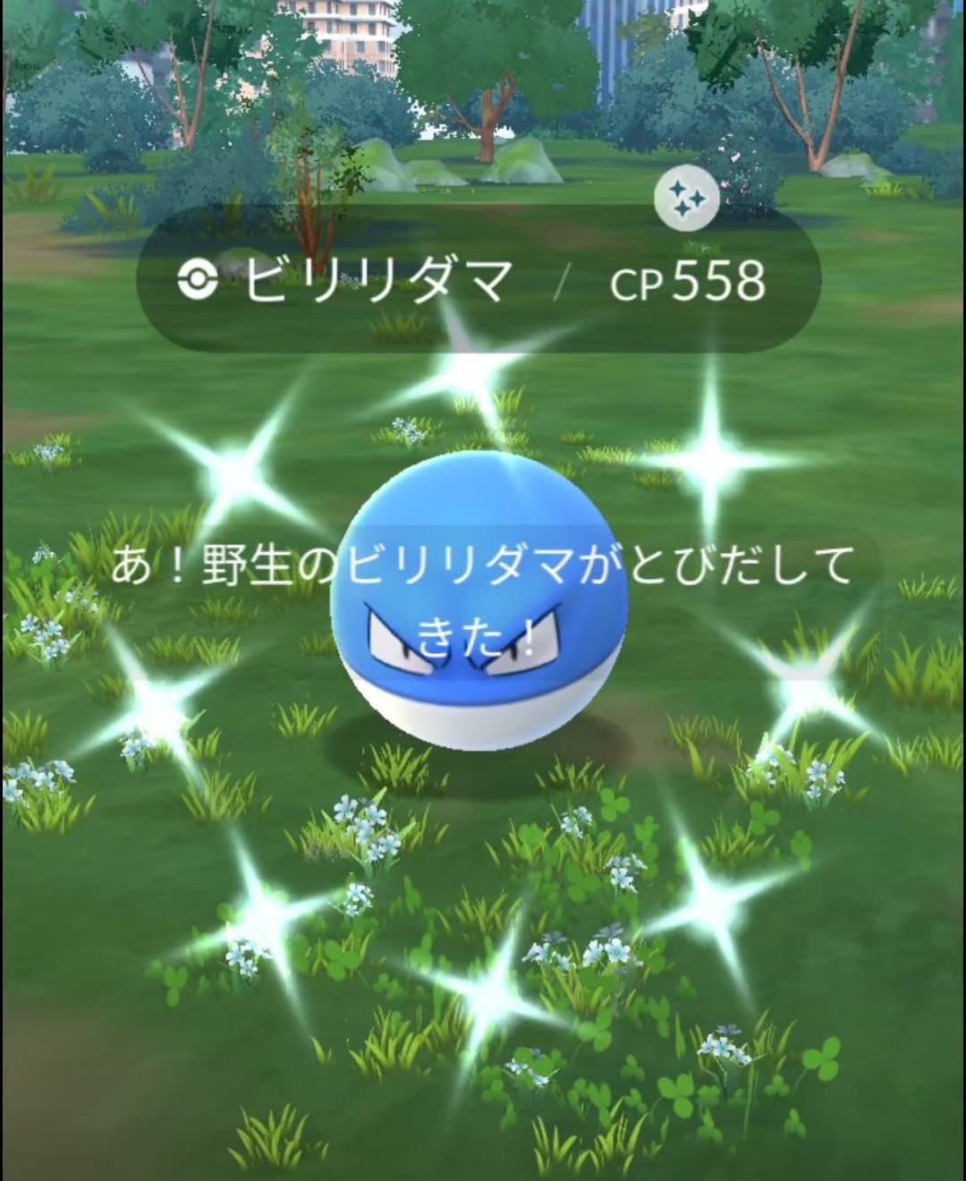 ビリリダマ色違い✨ 野生で来たよ💙