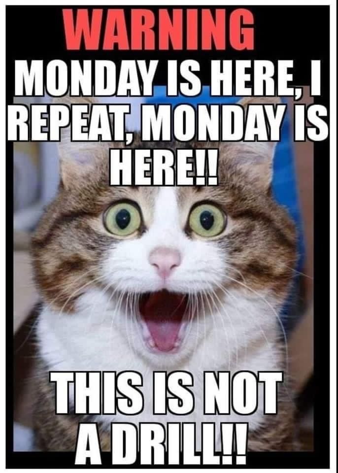 Work Related Memes | Happy Monday, y'all | Facebook