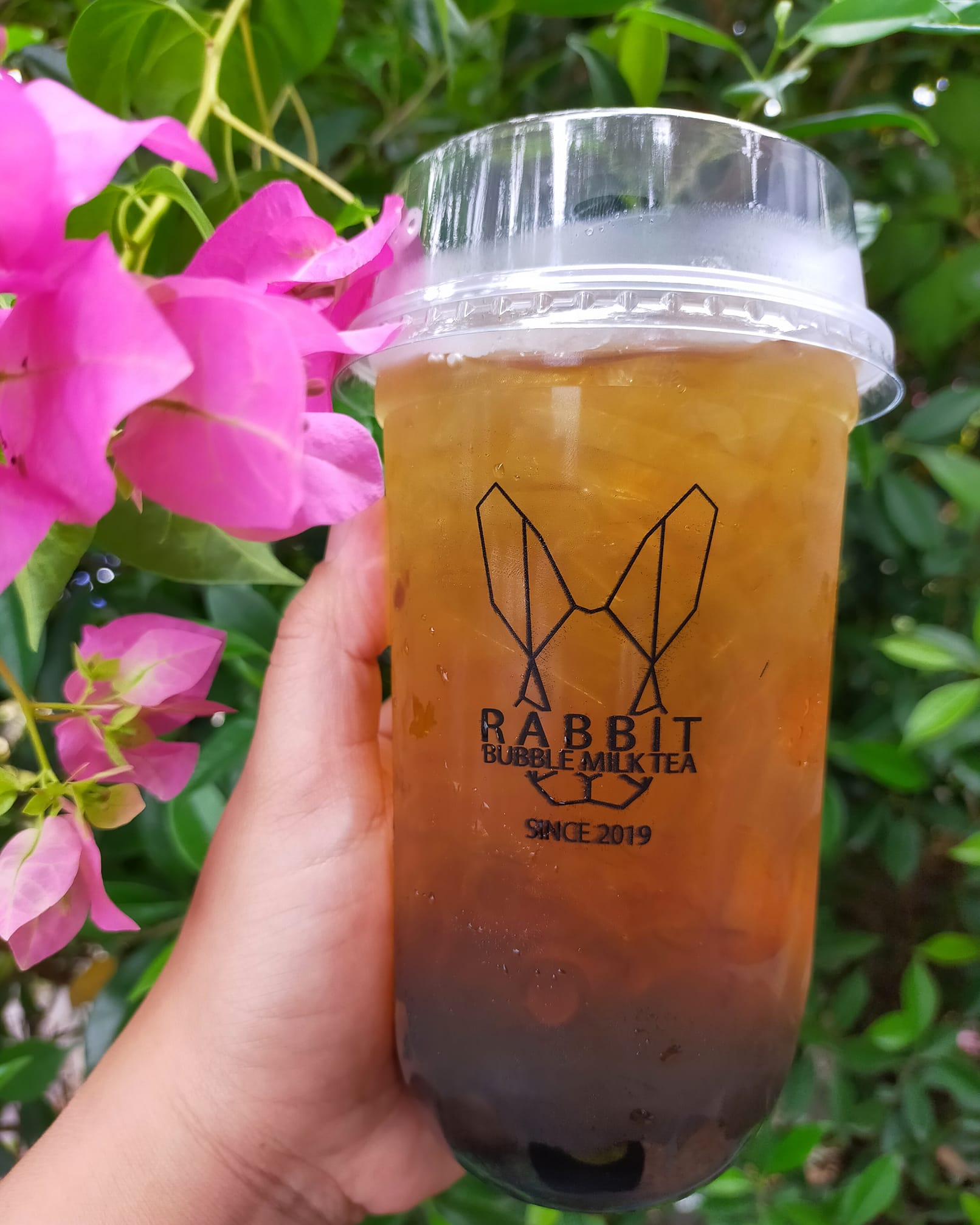 Rabbit Bubble Milk Tea สาขาพยุหะคีรี