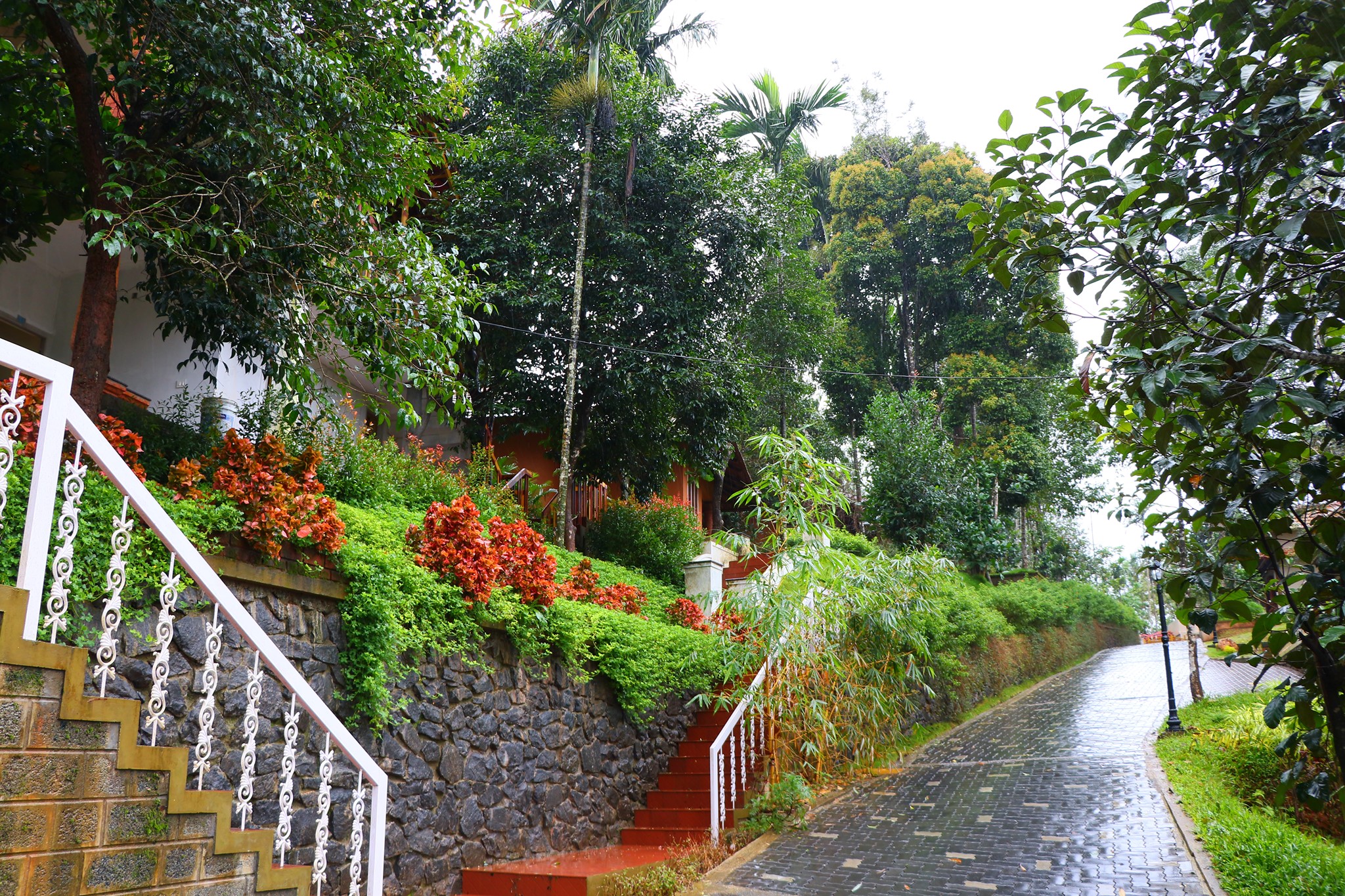 indeevararetreat-wayanad