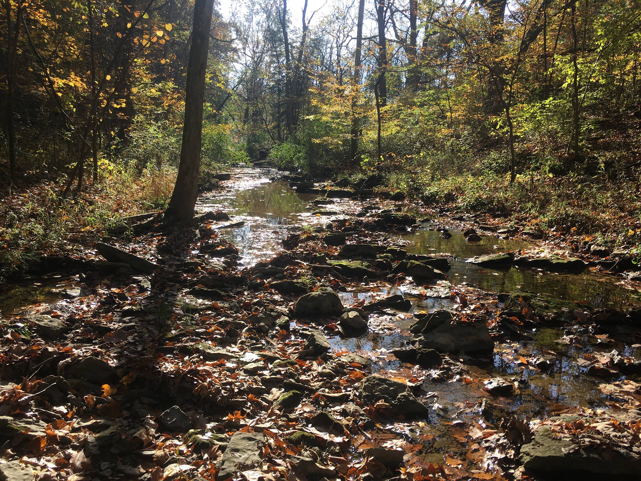 Indiana Association of Environmental Professionals | Indianapolis IN