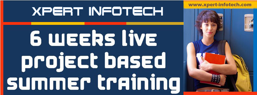 X Pert Infotech