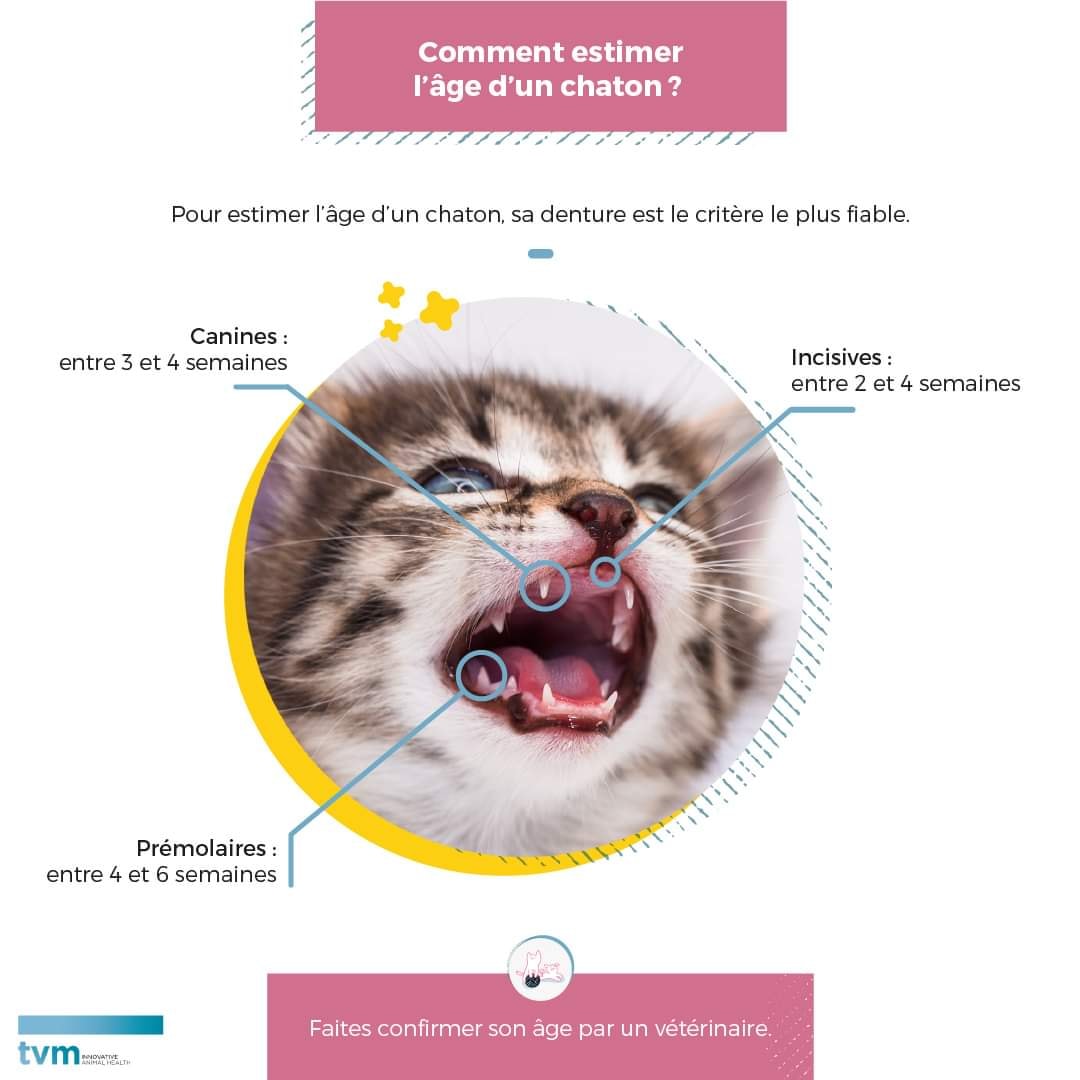 💡 Pour estimer... - Espacevet Avrillé - Clinique Vétérinaire | Facebook