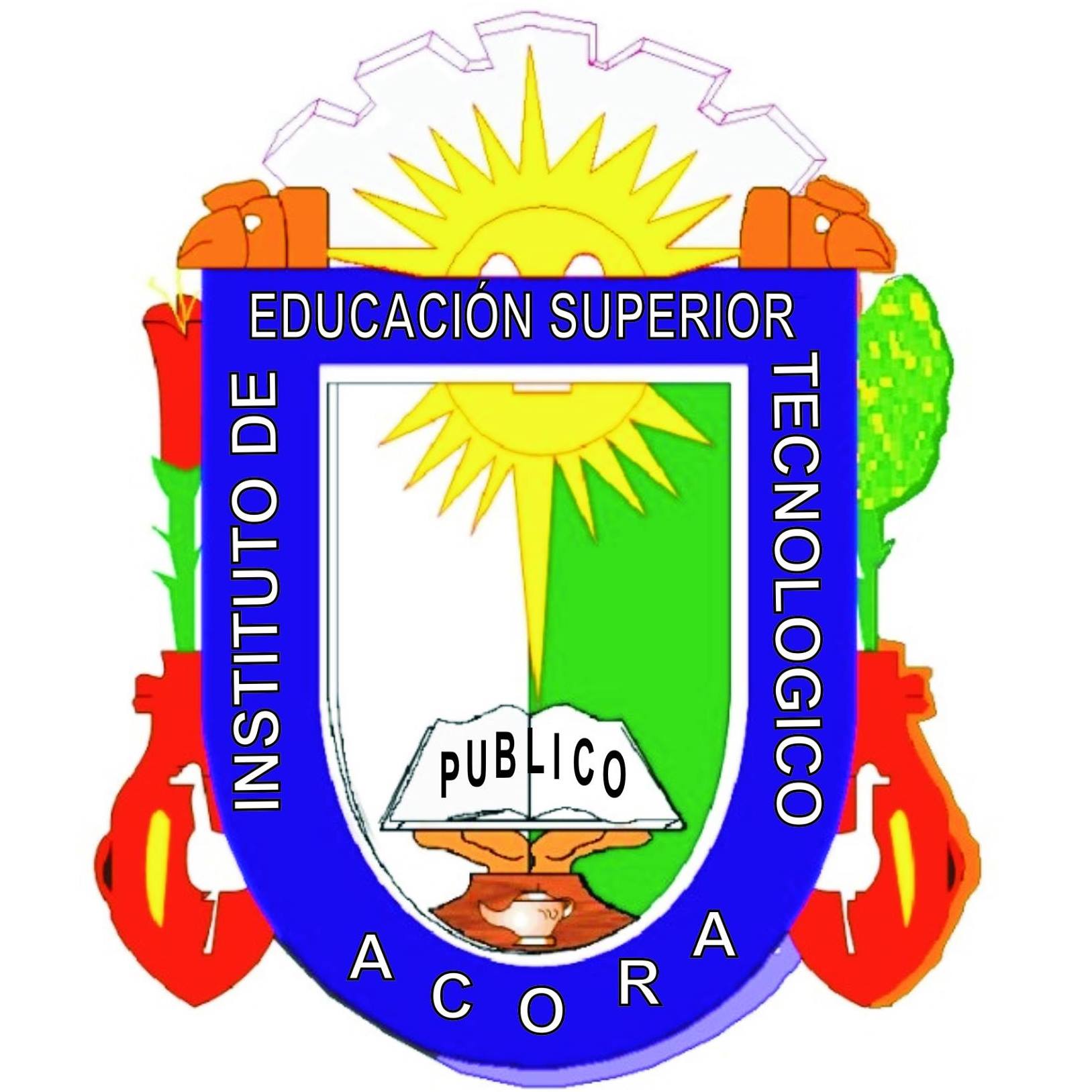 Instituto De Educación Superior Tecnológico Público Acora