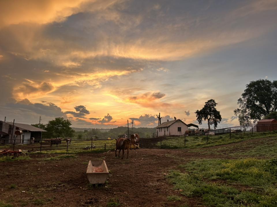 Hillian's Ranch | Facebook