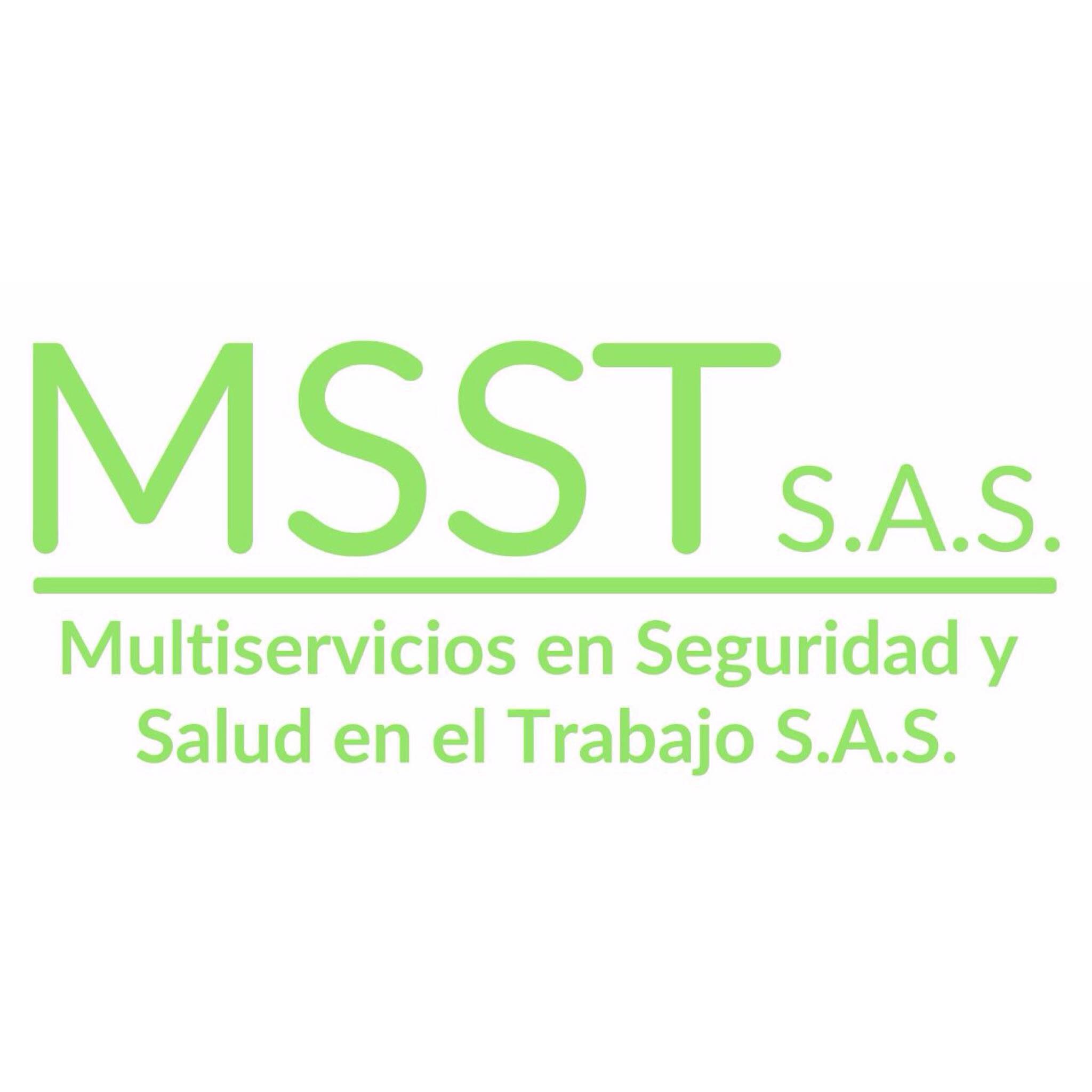 Multiservicios En Seguridad Y Salud En El Trabajo S.A.S
