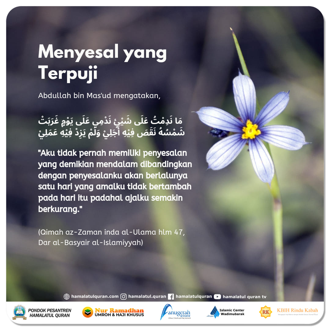 Pondok Pesantren Hamalatul Quran Menyesal Yang Terpuji Abdullah Bin Mas Ud Mengatakan م ا ن د م ت ع ل ى ش ي ئ ن د م ي ع ل ى ي و م غ ر ب ت ش م س ه ن ق ص ف ي ه أ ج ل ي و ل م ي ز د ف ي ه ع م ل ي Aku Tidak Pernah Memiliki