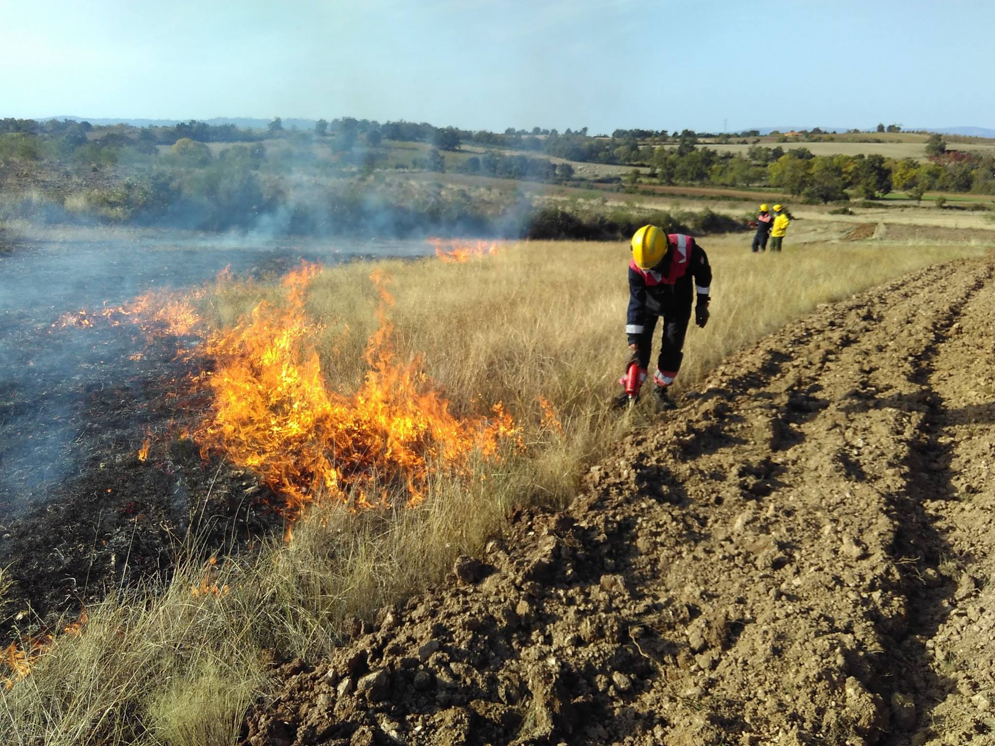 APFNT Associação Florestal Mogadouro - A prevenção dos incêndios de ...
