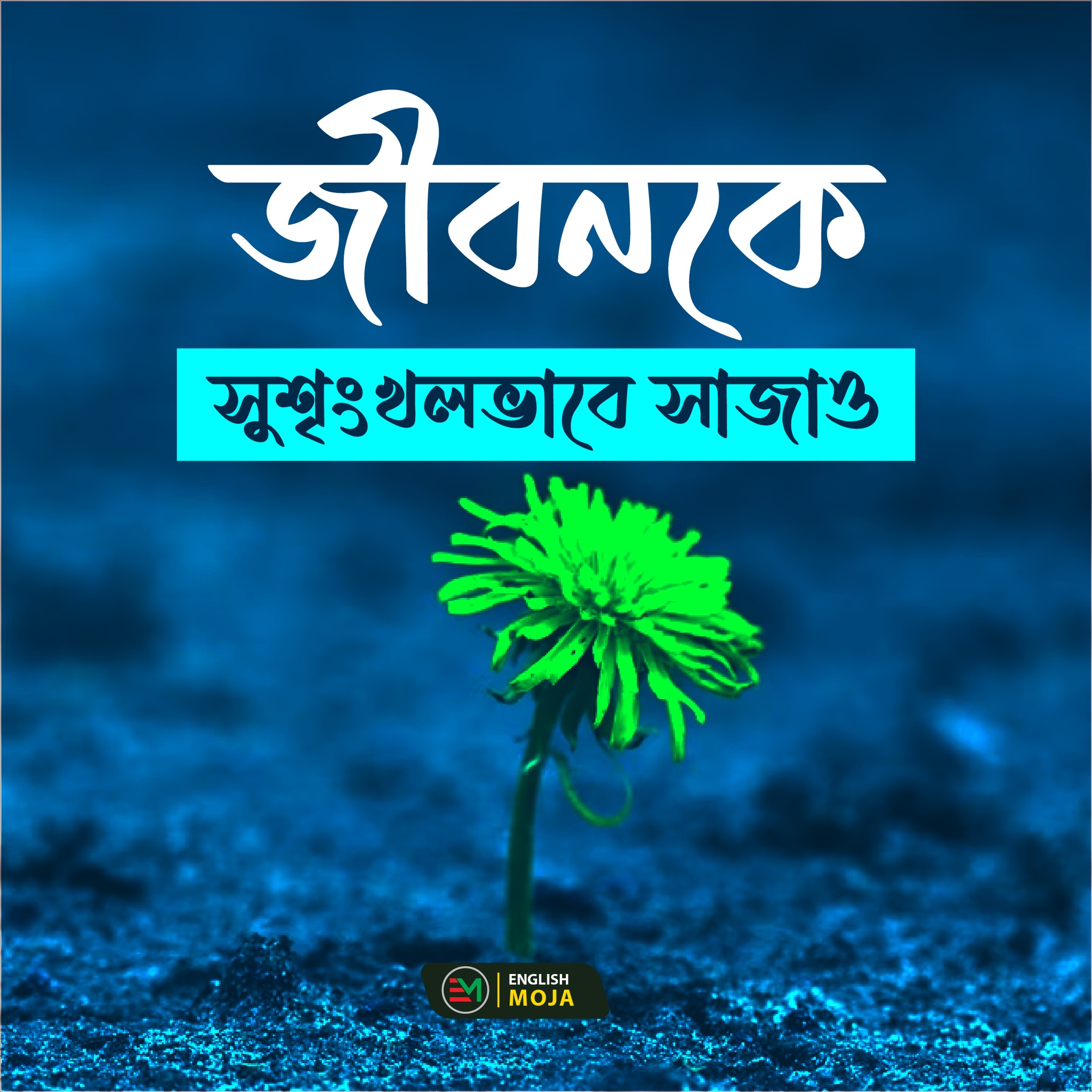 M. Rafique