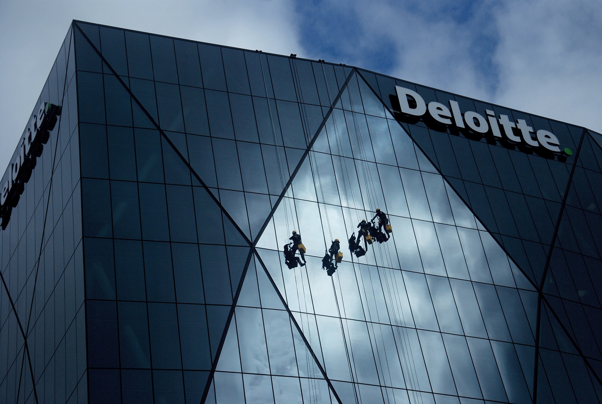 Vertac Height Services | Wellington