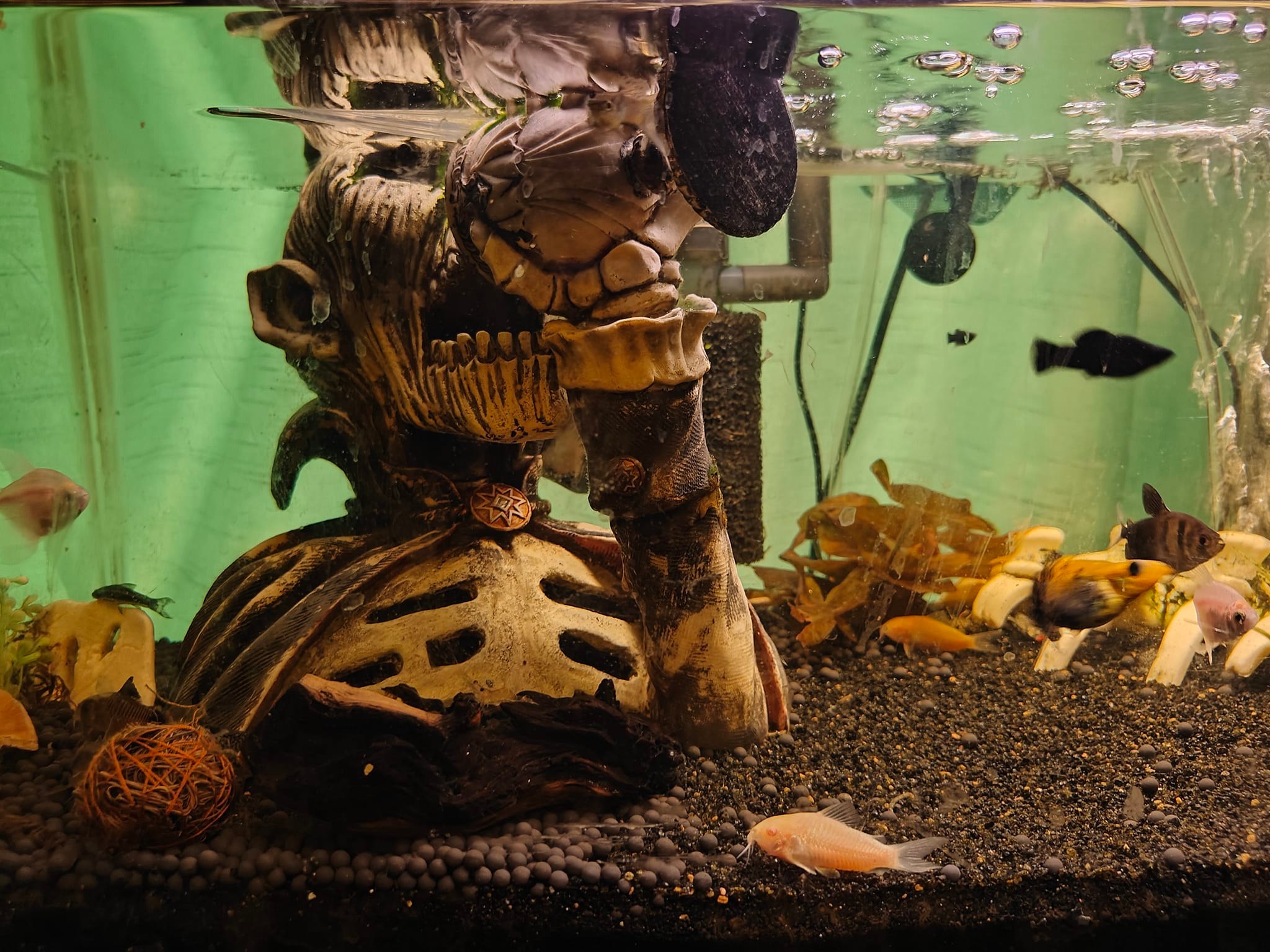 Aazon.co: fazhongfa Fish Tank Decorations Star Wars Aquariu