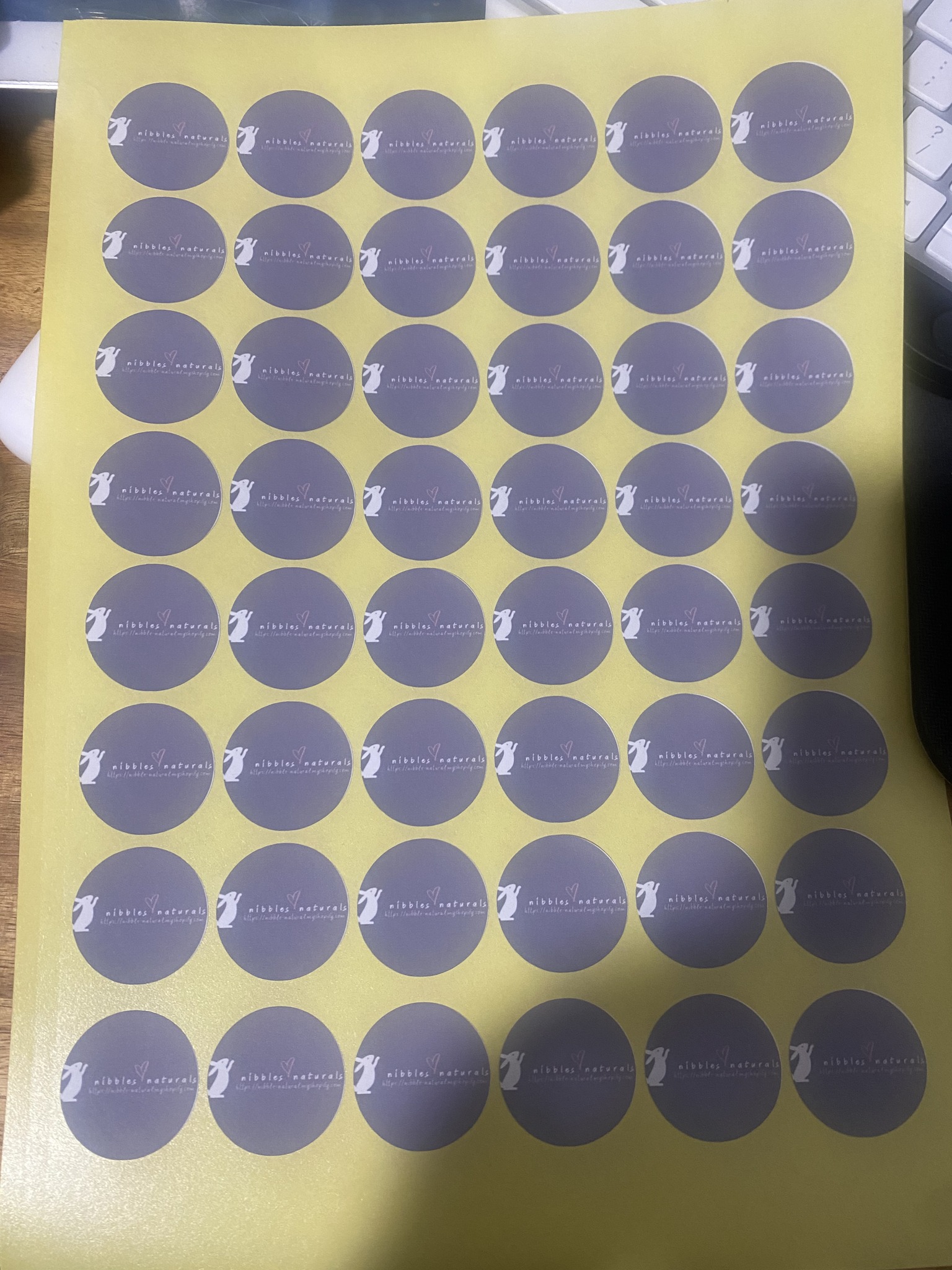 Chch Stickers | Christchurch