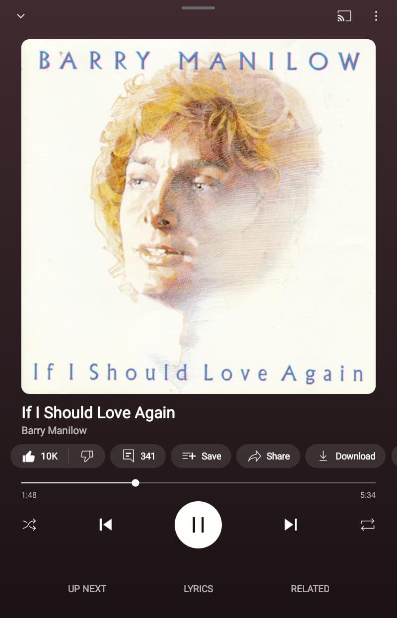 What do you think about the song 