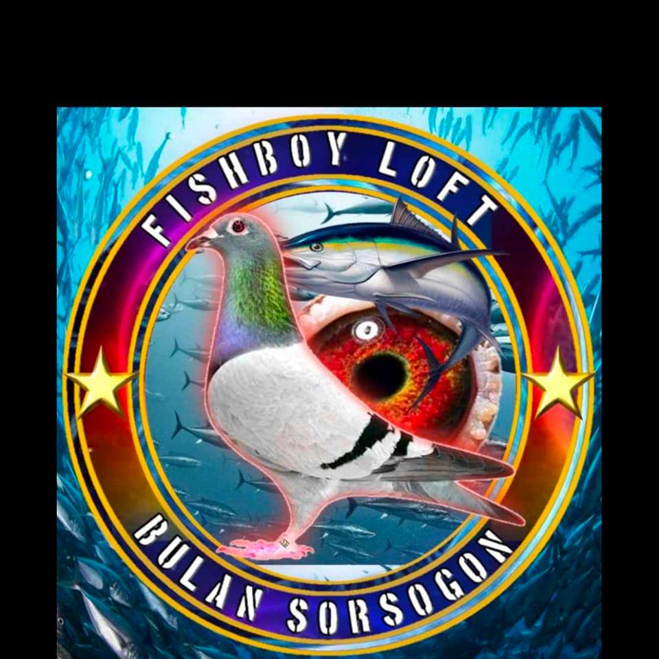Fishboy Loft