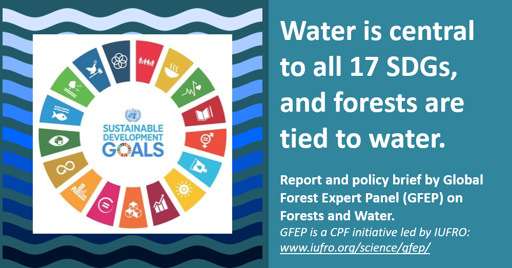 Water security is key to achieving UN Sustainable Development Goals ...