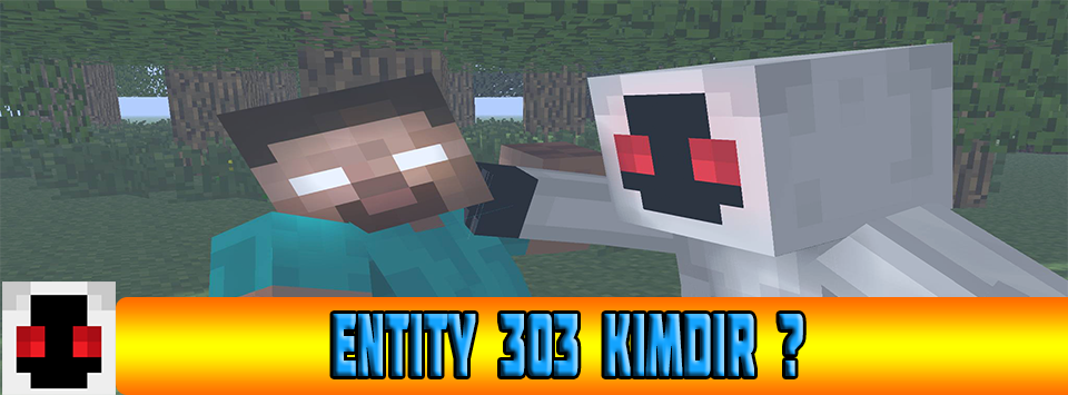 Entity - Entity 303 Kimdir ? ( 