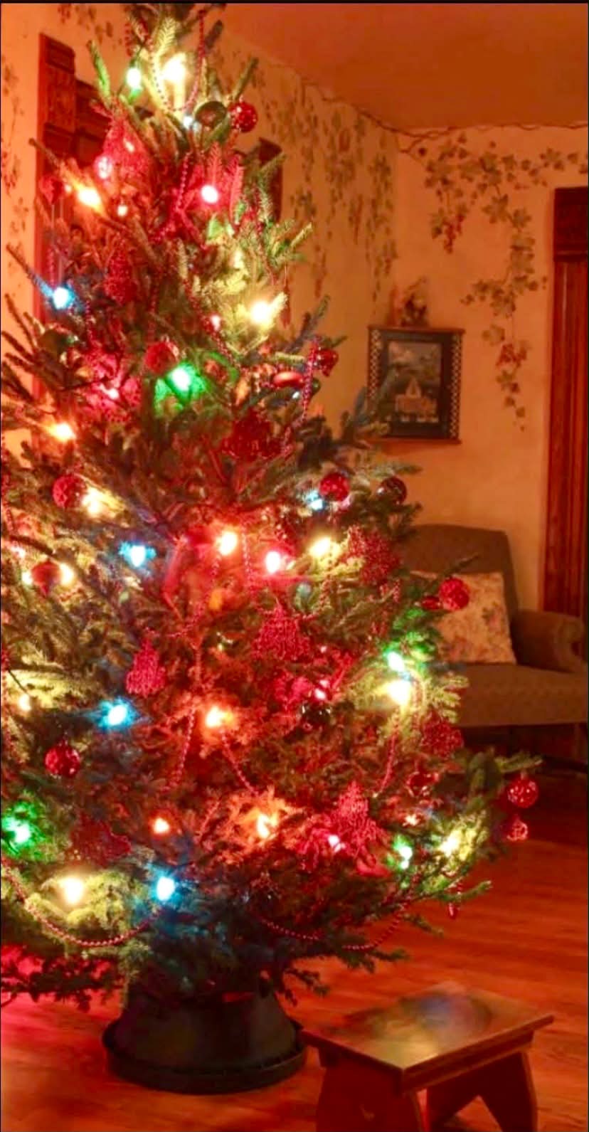 🎄Old Time Christmas Memories 🎄