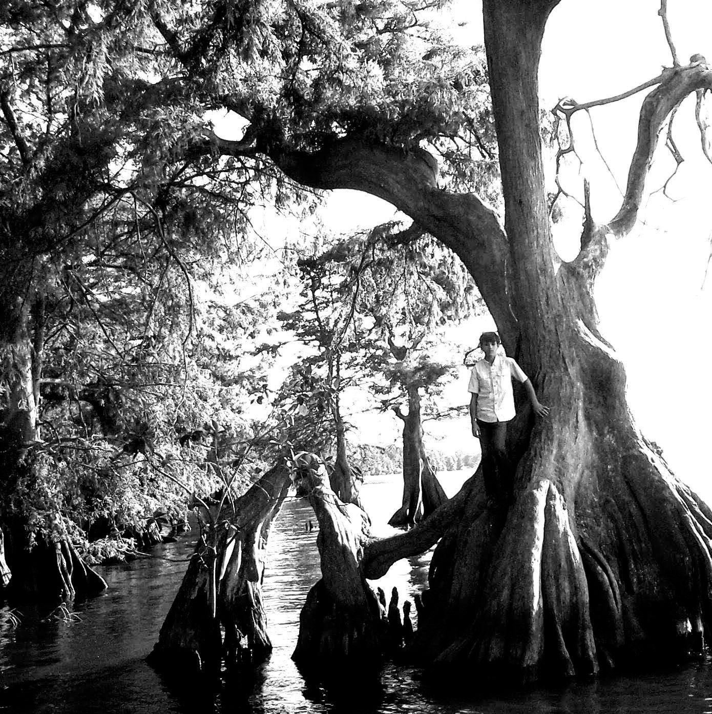 Mid to late 1800's white families began moving south into Florida from ...