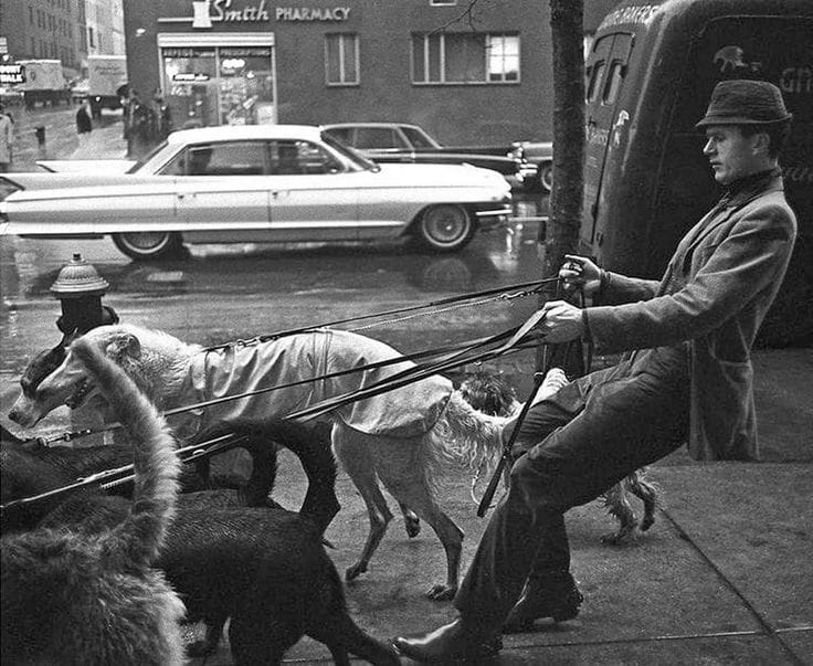 THE VISIBLE DOG Assembly Kit Renwal, 1961 Click for Full Image