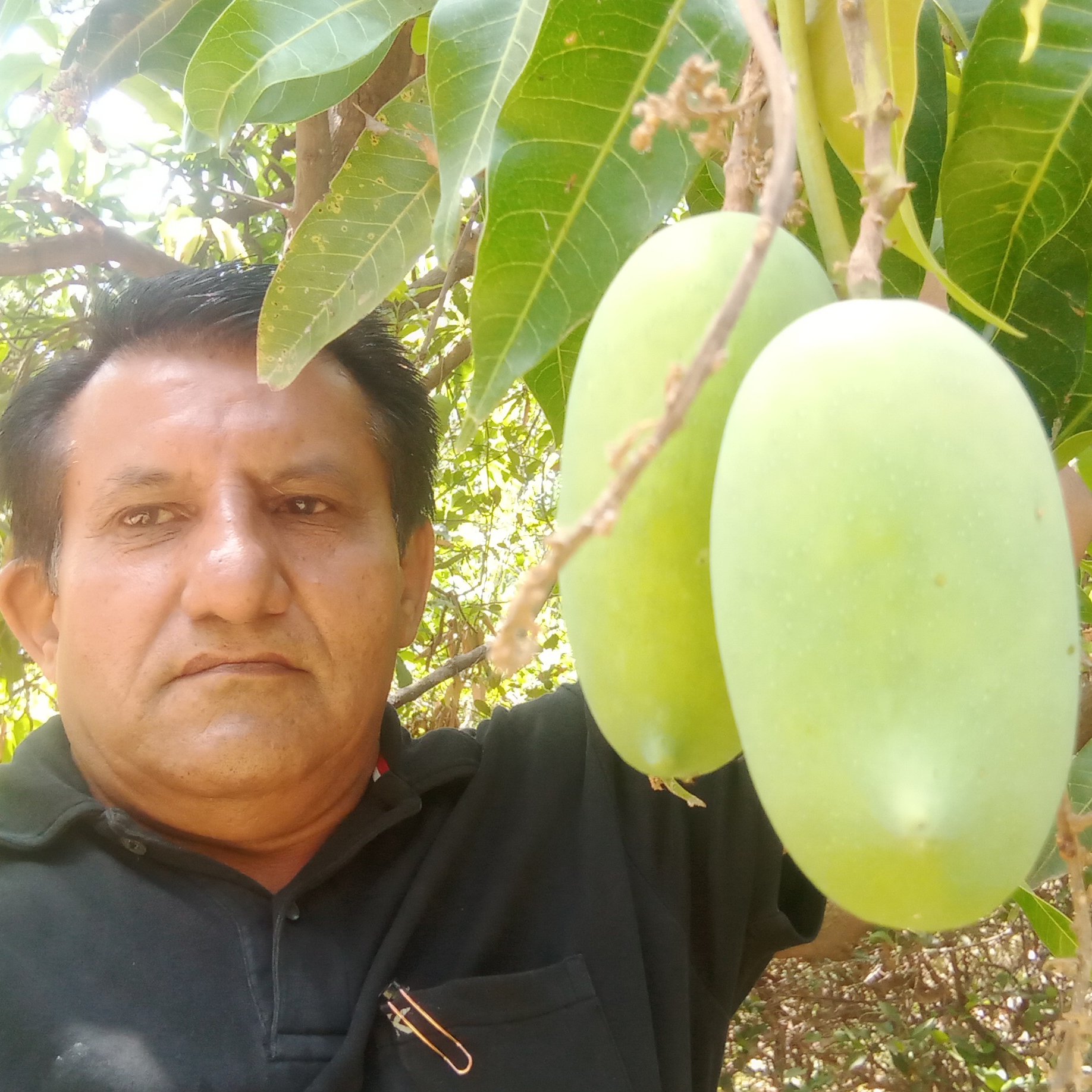 Sagar Rabari