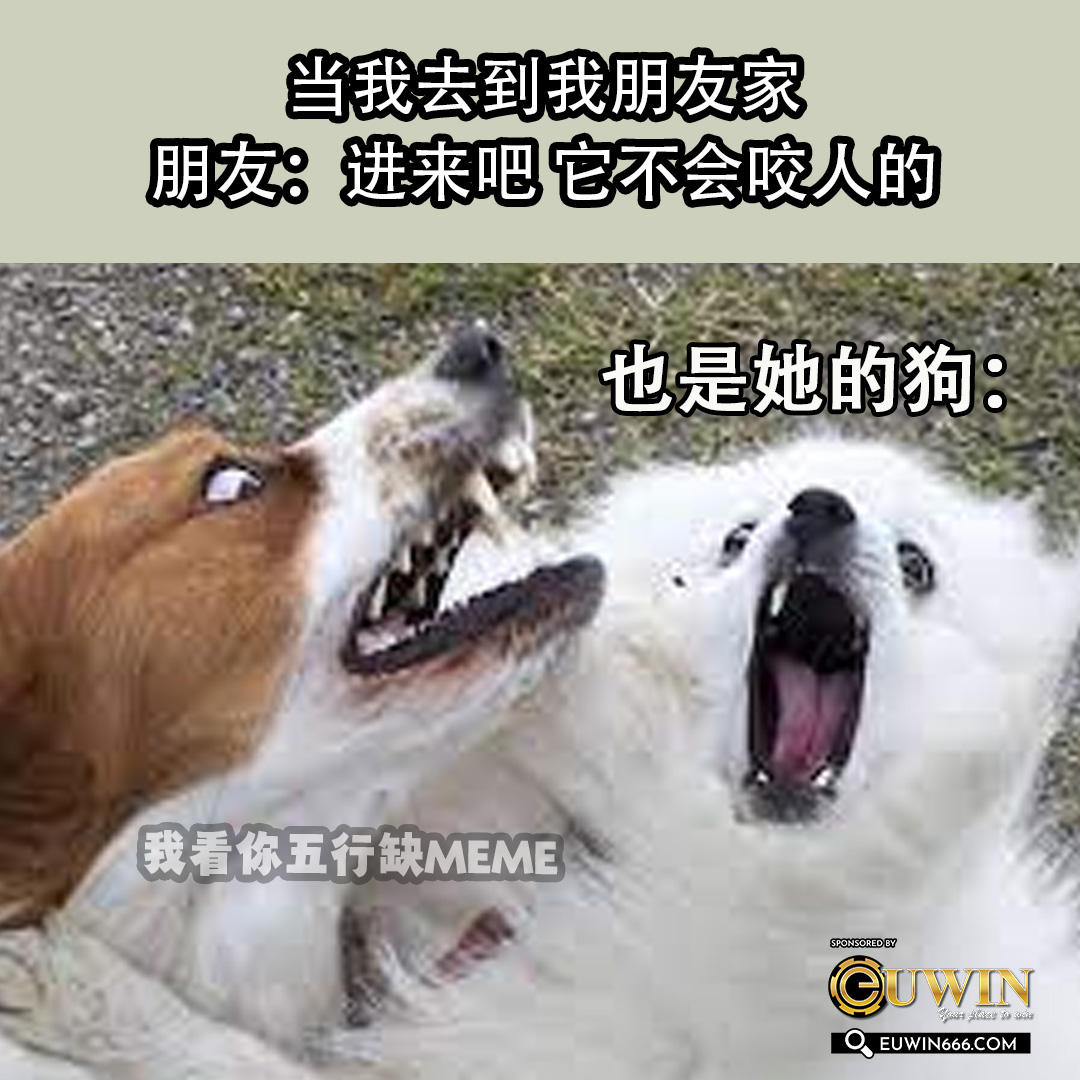 MyRojak - 吓si了 #梗图 #哈哈哈 #表情包 #meme #memesdaily... | Facebook