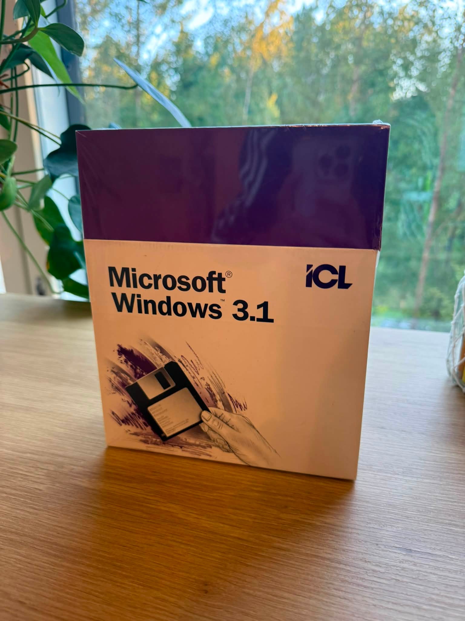 IBM manuals for Microsoft Windows v3.1 and User's Guide for sale