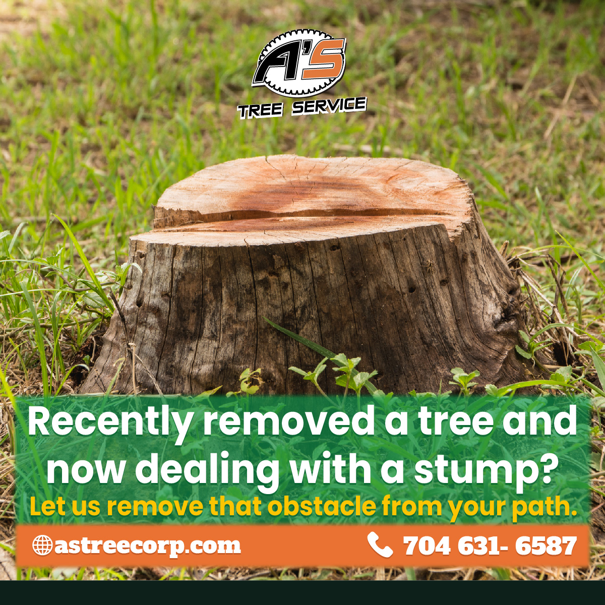 A's Tree Service Corp