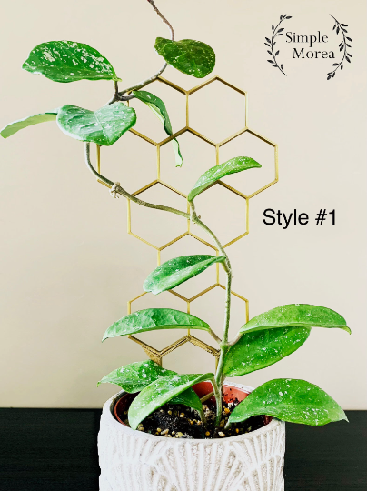 Simple Morea - Check our Etsy shop to get a stylish 3D...