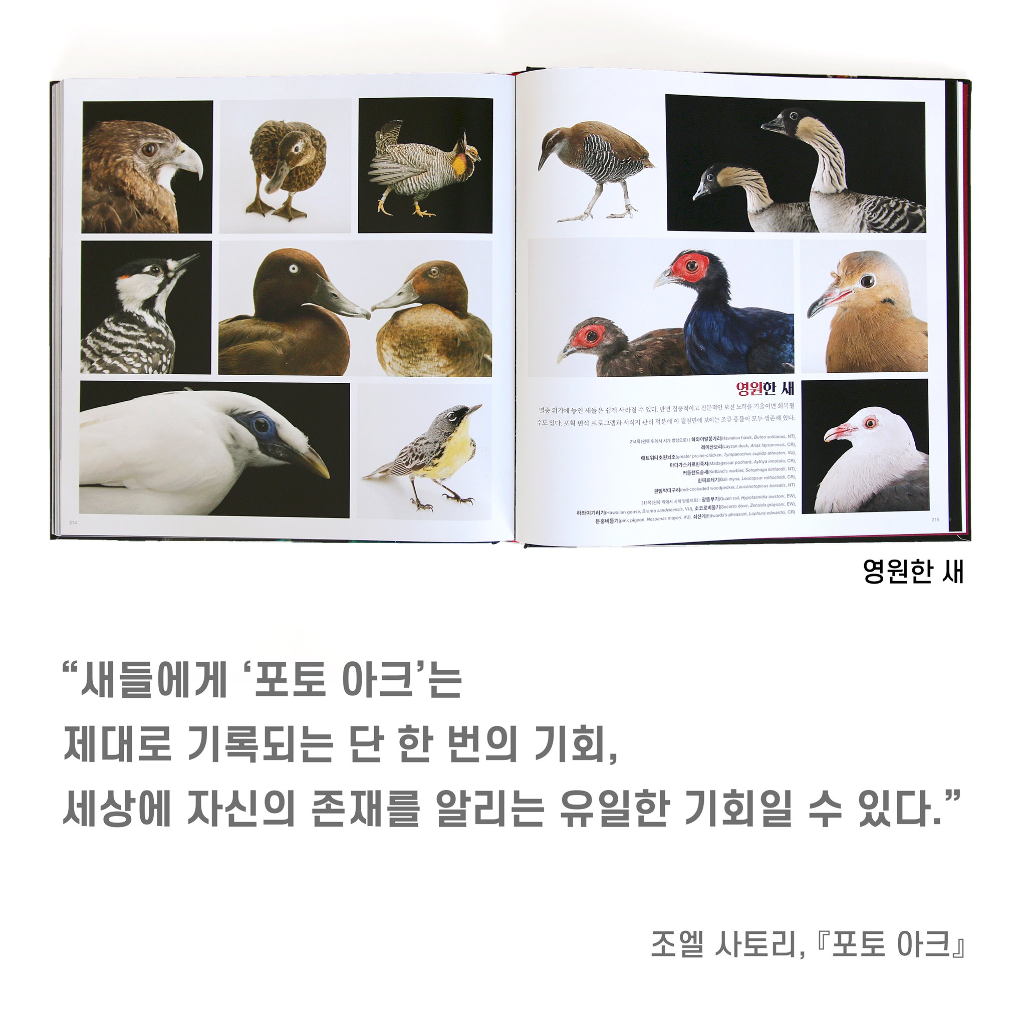 사이언스북스 - 조류 편🐦🦆🦅🦉🐥 ⠀ 오늘은 국제 조류의 날입니다. 한 연구에... | Facebook