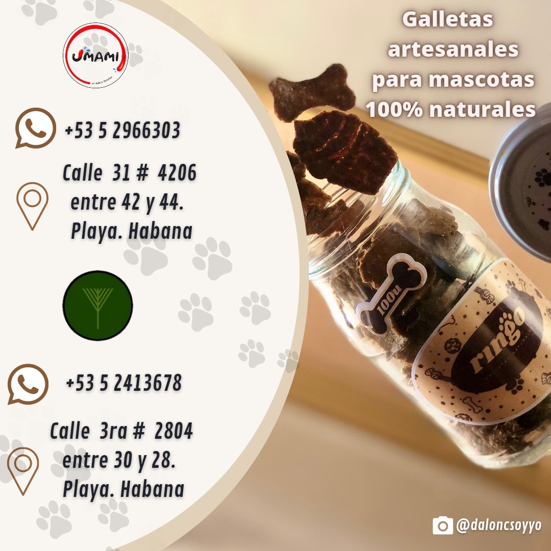Ringo Galletas - 🍪🐶 Galletas Artesanales para mascotas,... | Facebook