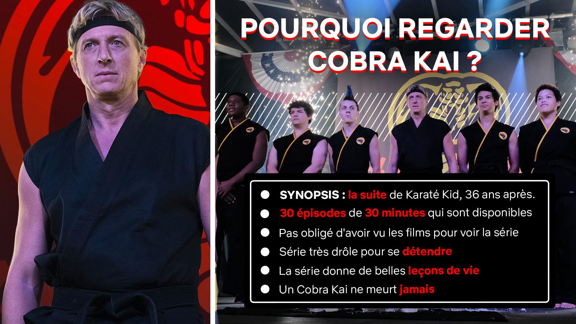 Quel Personnage De Cobra Kai Es Tu