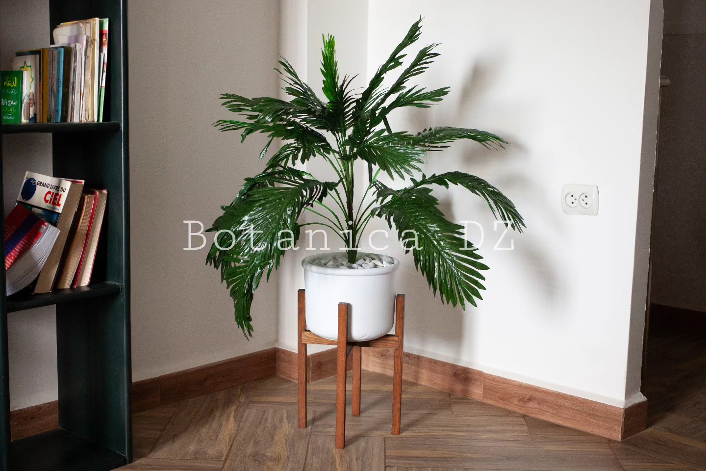 Botanica DZ - -Ensemble plante artificielle🌱, Pot terre... | Facebook
