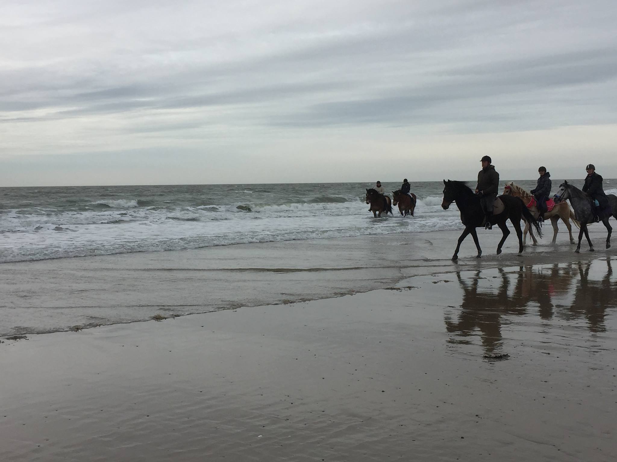 Manege Grol Renesse added a new photo. - Manege Grol Renesse