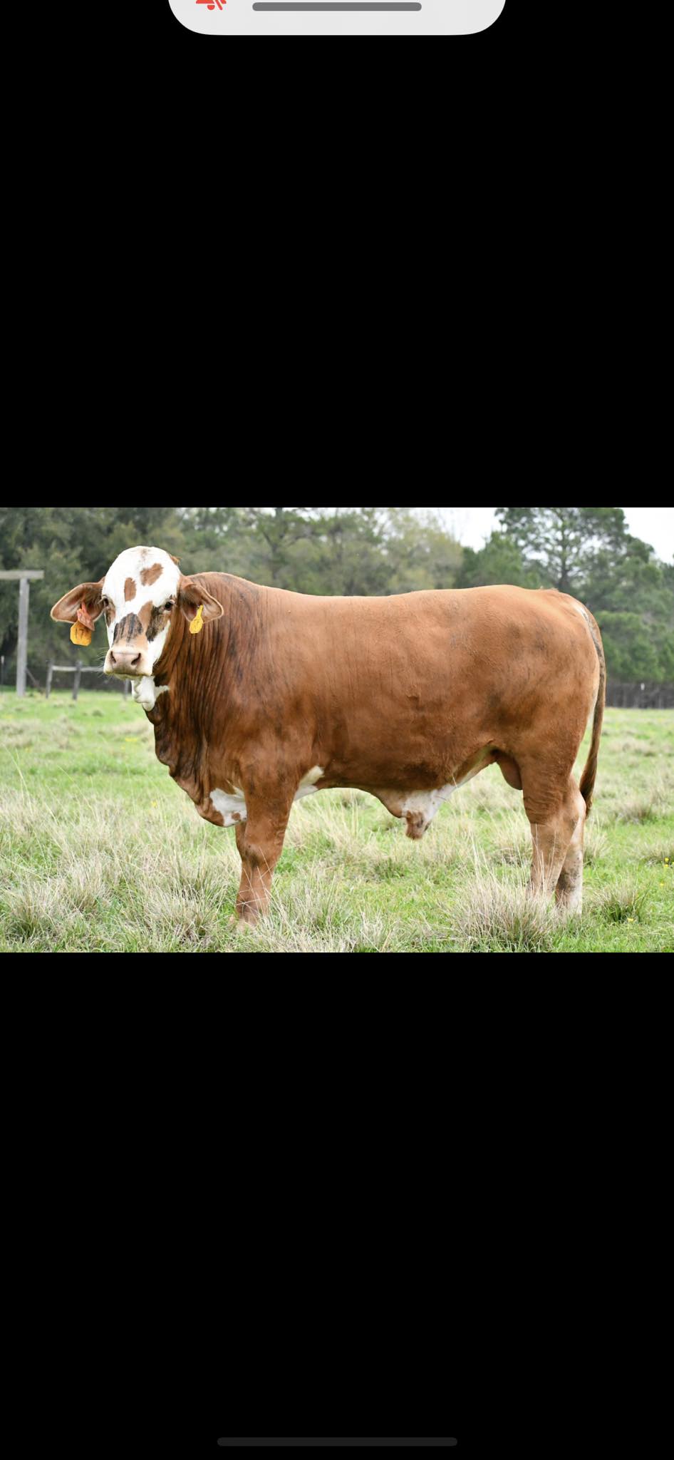 Toepfer Farms LLC | Richard LA