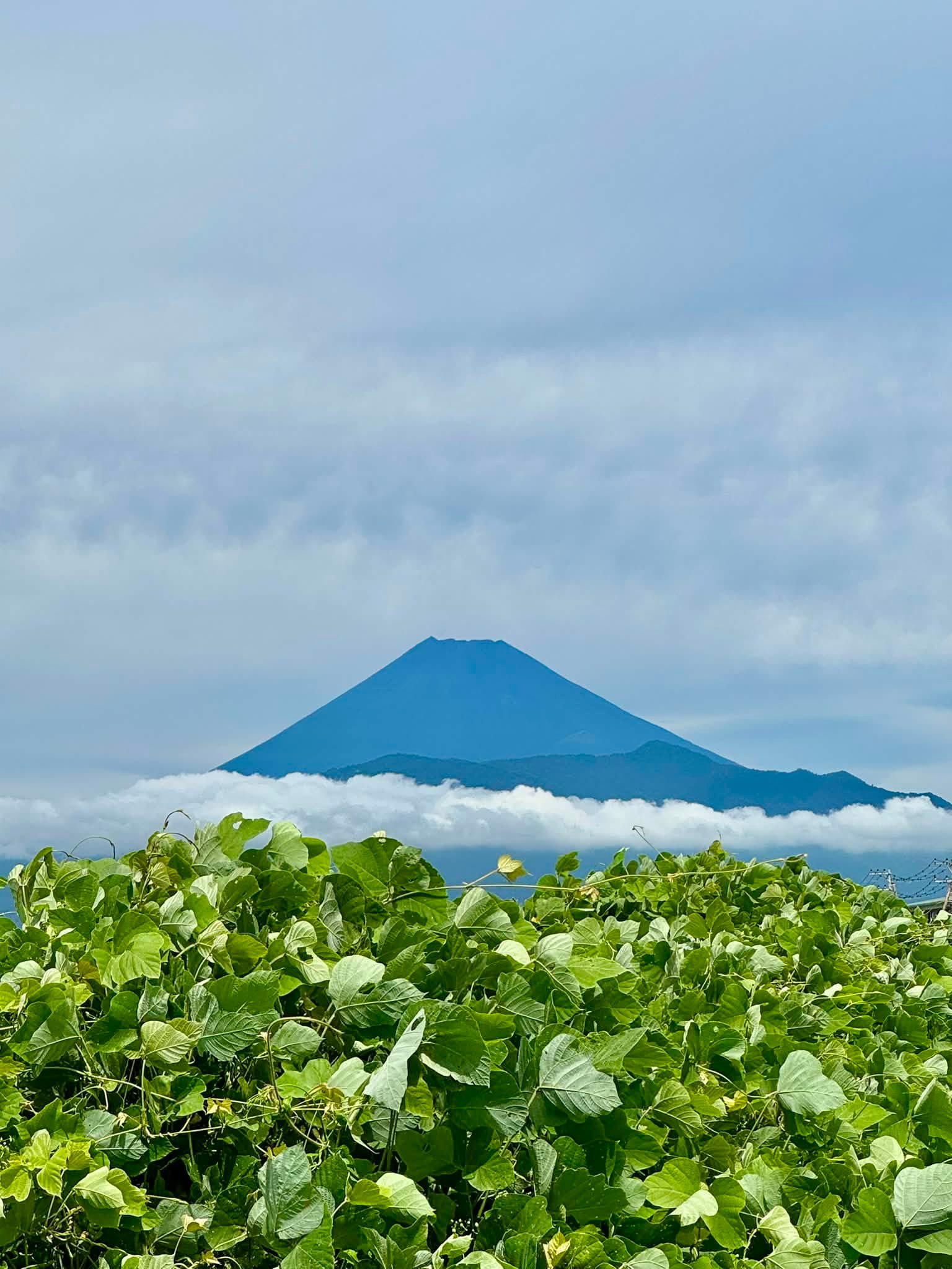 2026 8/29 富士山🗻のパワーを🙋‍♂️❣️🤗 ♪(๑ᴖ◡ᴖ๑)♪ 静岡県