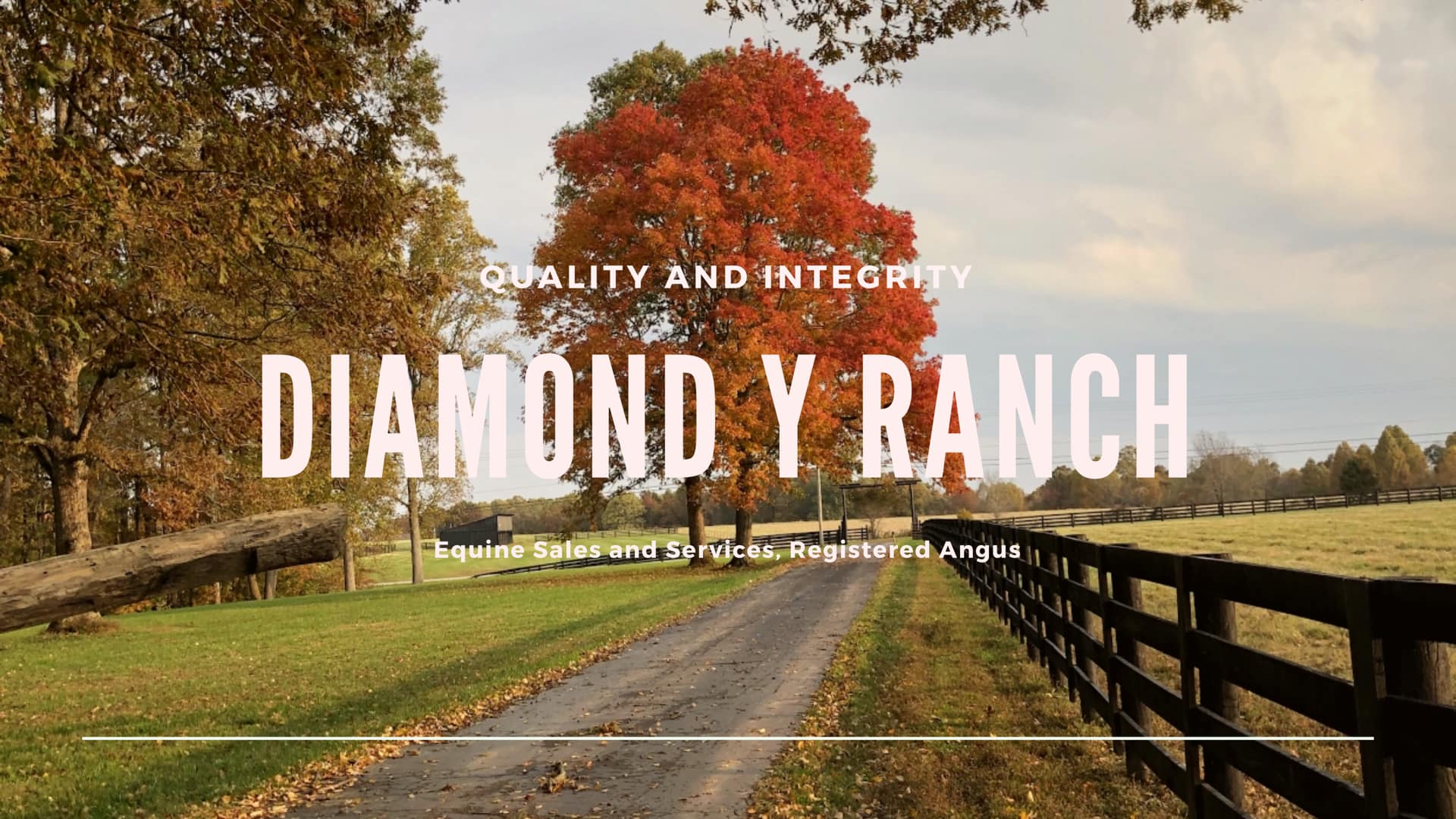 Diamond Y Ranch | Liberty KY