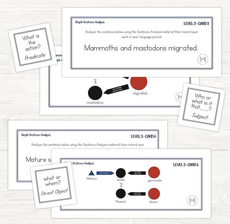 🔴 Simple Sentence Analysis... - The Modern Montessori Guide | Facebook