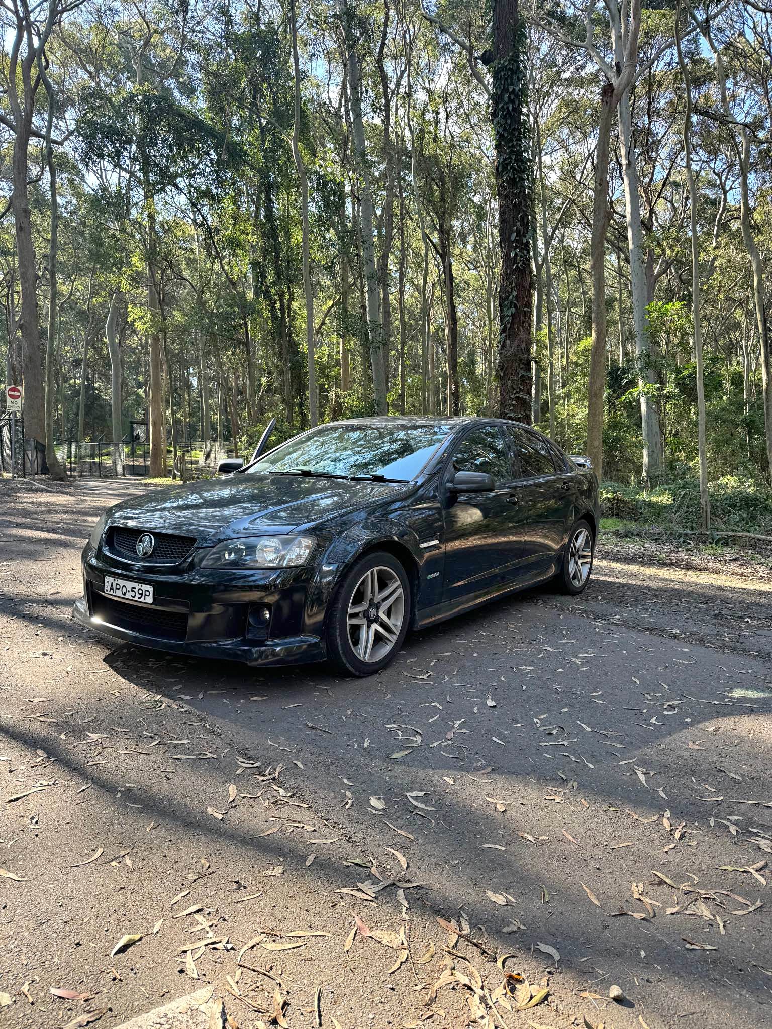 2010 Holden Commodore SV6 sv6 series 2