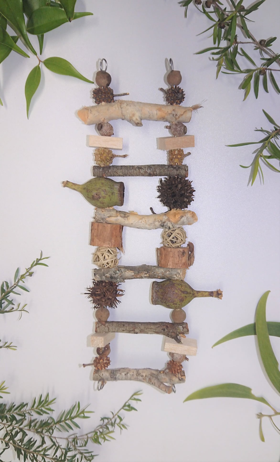 Here's a sneak peak at some... - Animal Enrichment Australia