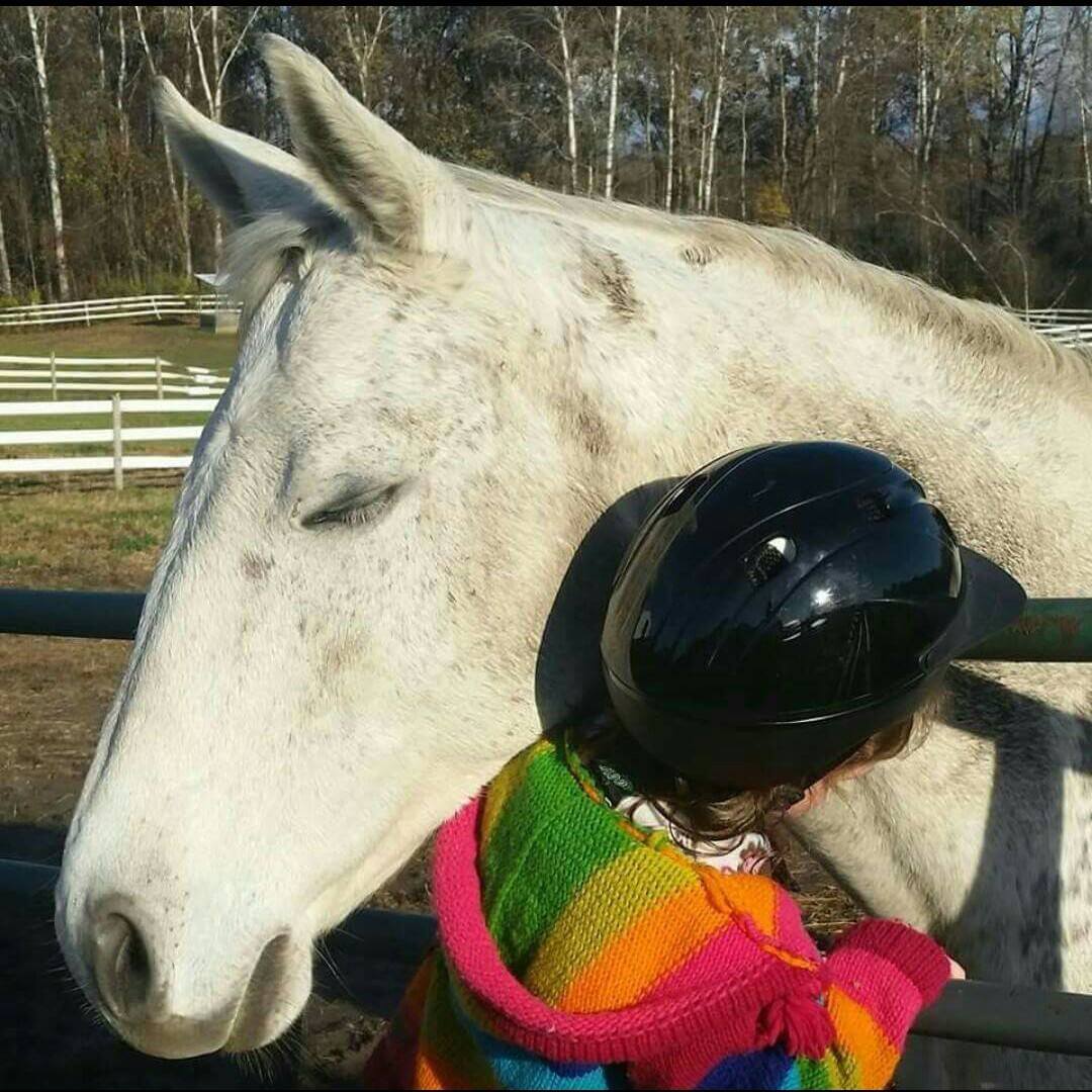 Are you... - Adirondack Equine Assisted Psychotherapy, LCSW | Facebook
