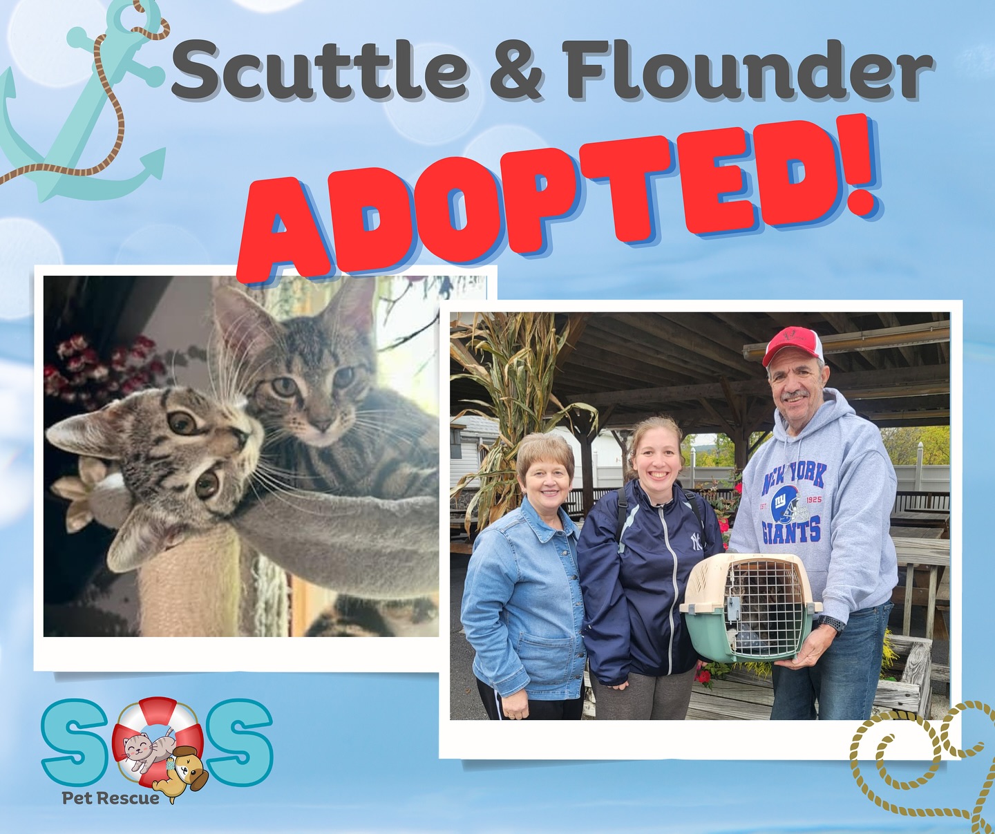 SOS Pet Rescue - Our sweet siblings, Scuttle & Flounder,... | Facebook