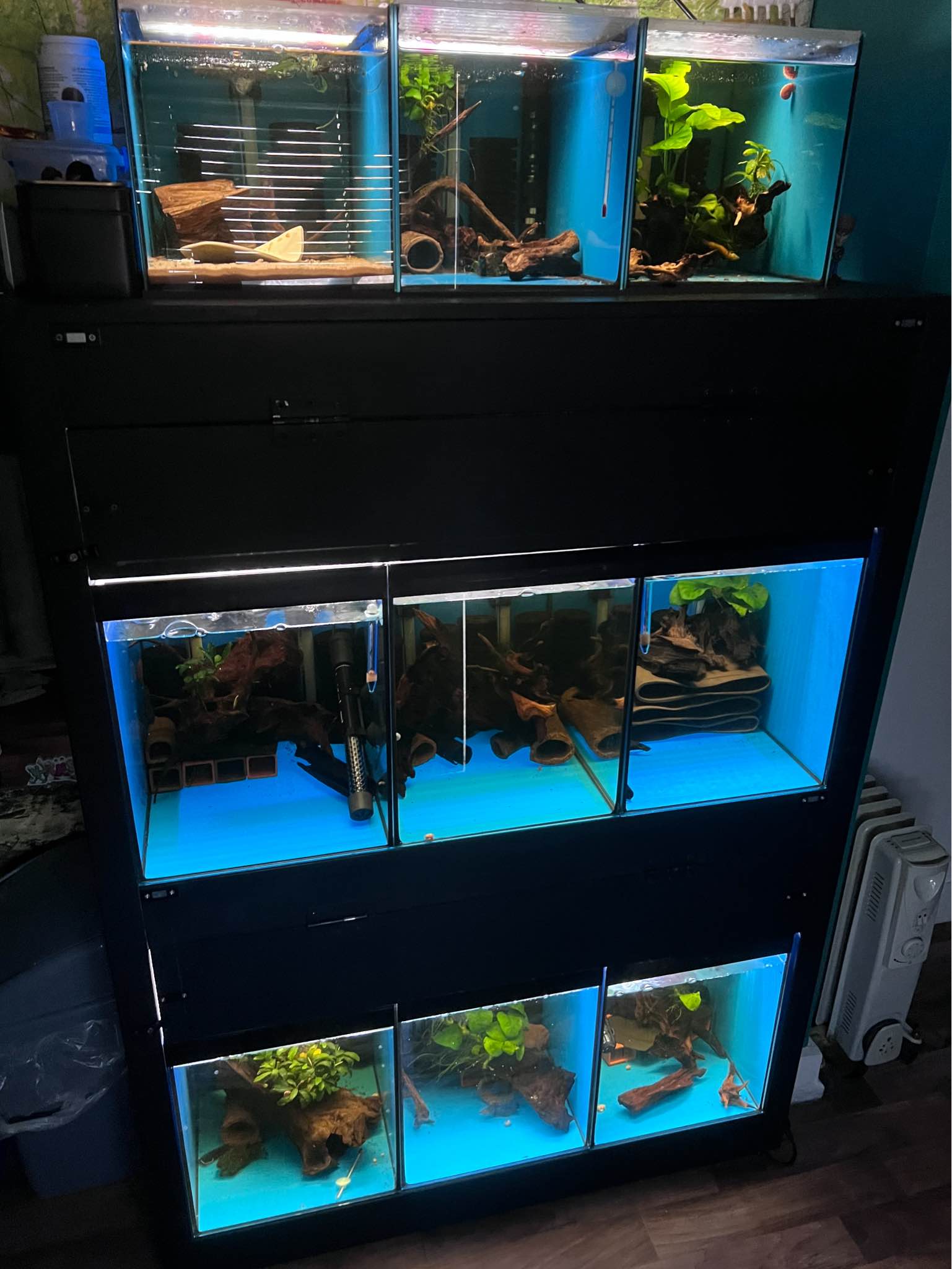 Custom Built Fish Tanks & Racking System - Aquariums - Rochford ...
