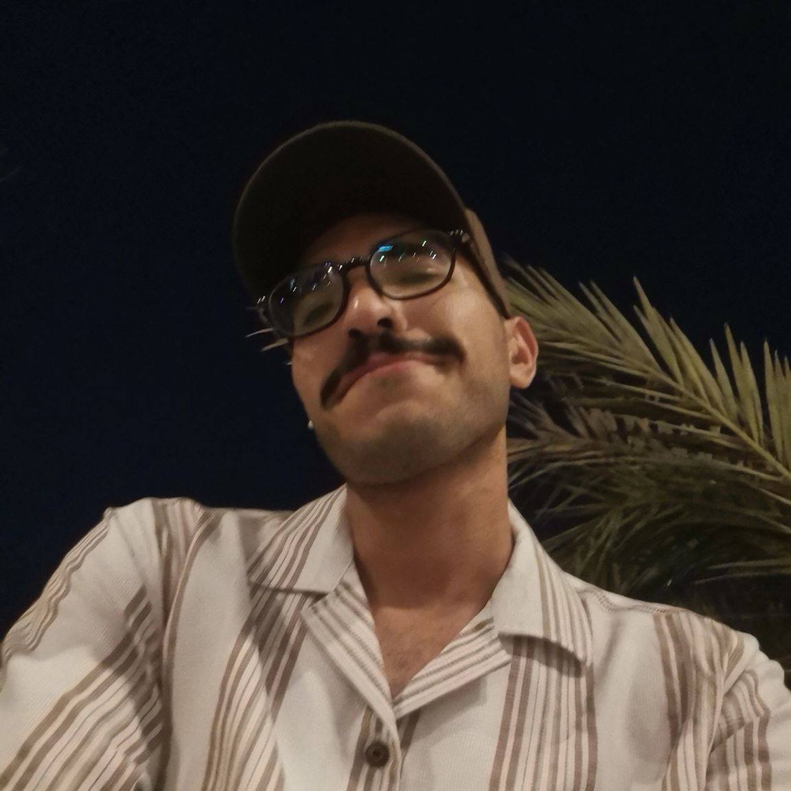 حمزة سلطان