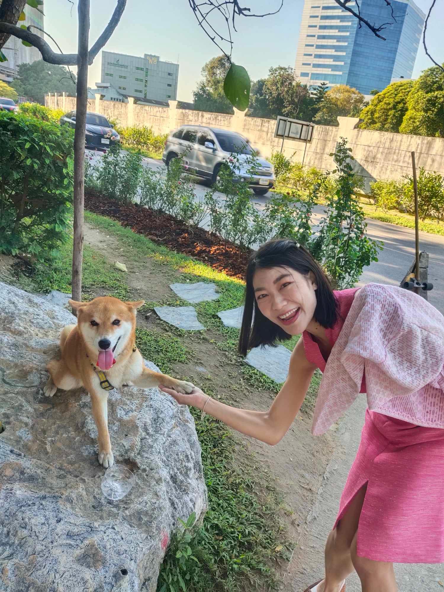 บูตะ หมาชิบะ นอร์ธปาร์ค - Buta Shiba Inu North Park | Bangkok